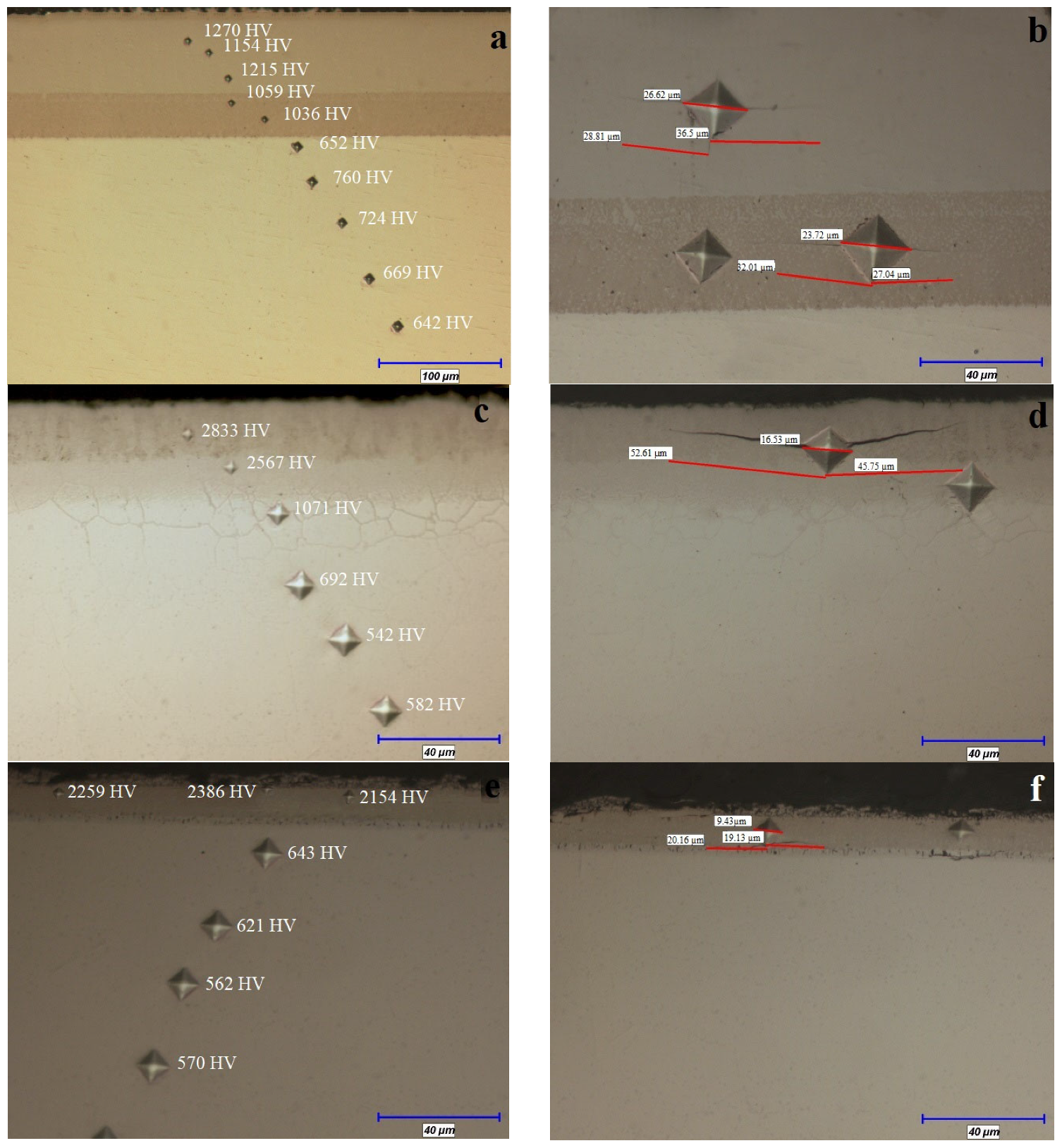Coatings 13 01272 g005