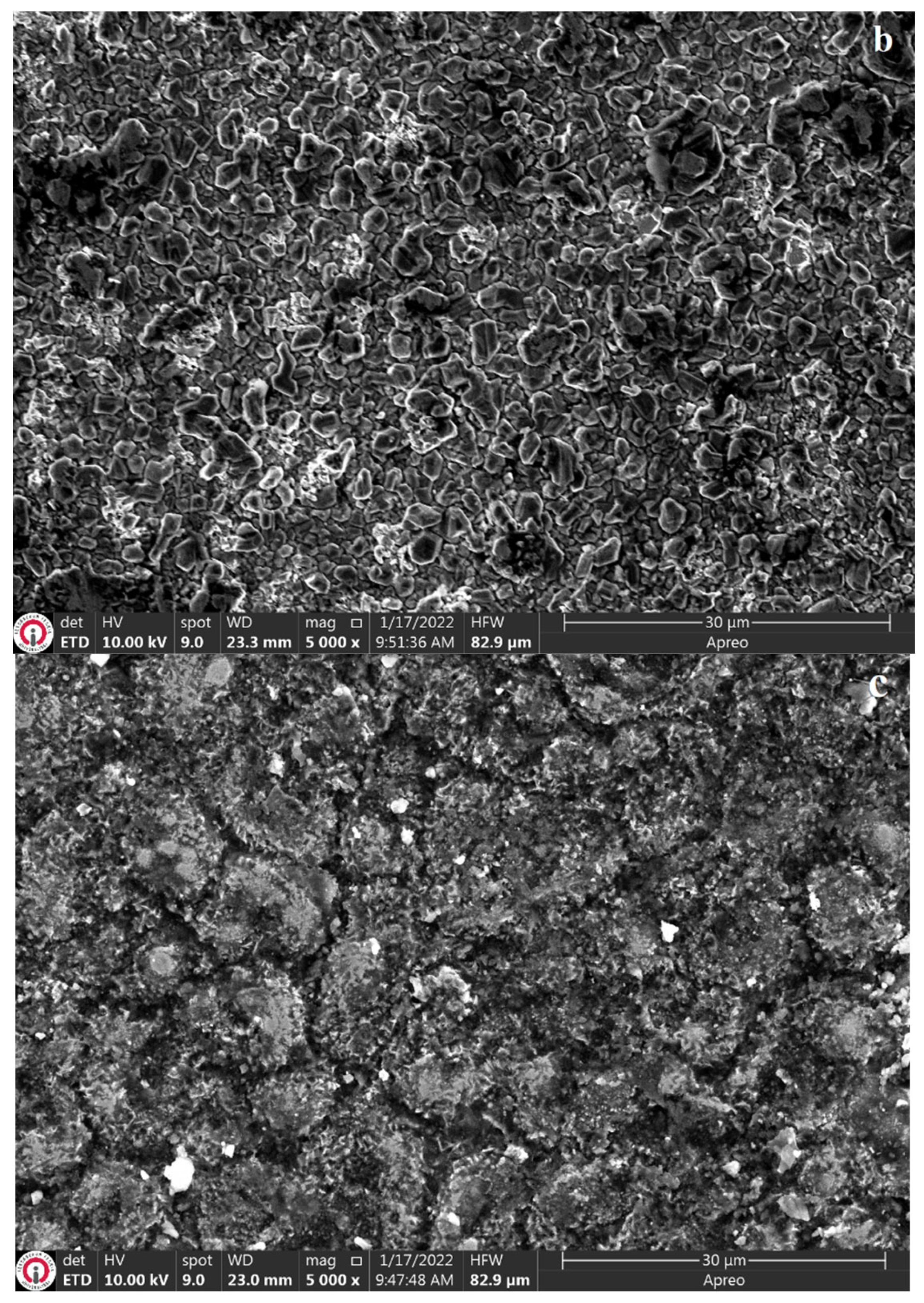 Coatings 13 01272 g006b