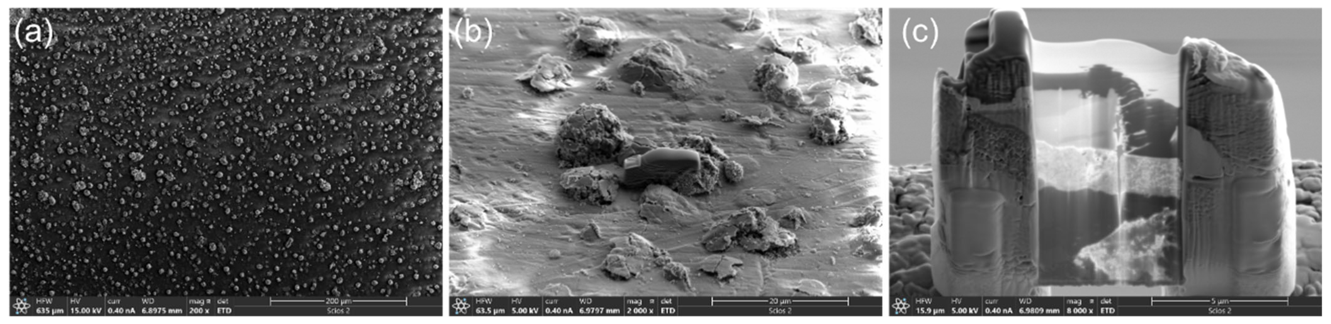 Coatings 13 01274 g016