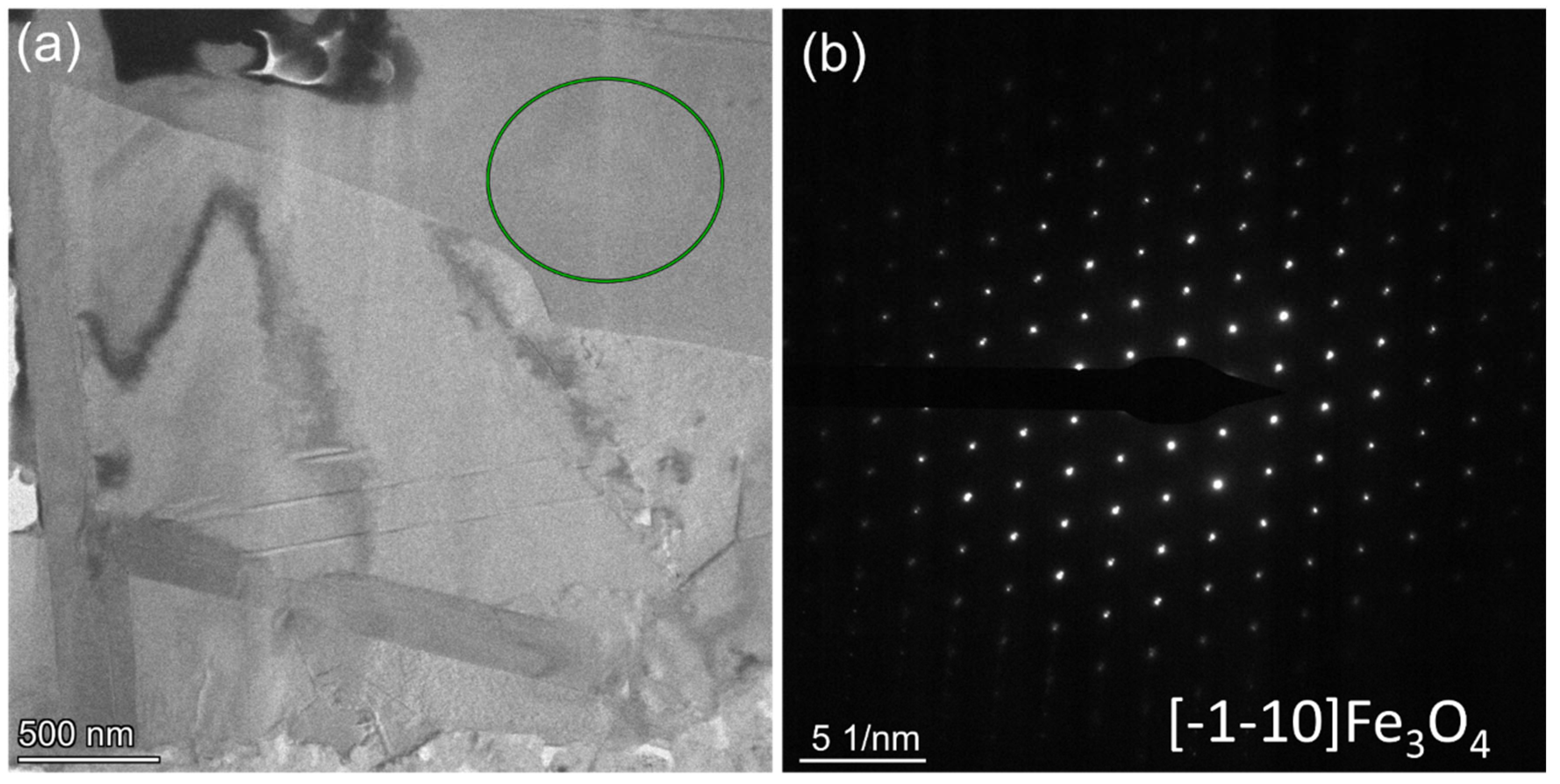 Coatings 13 01274 g018