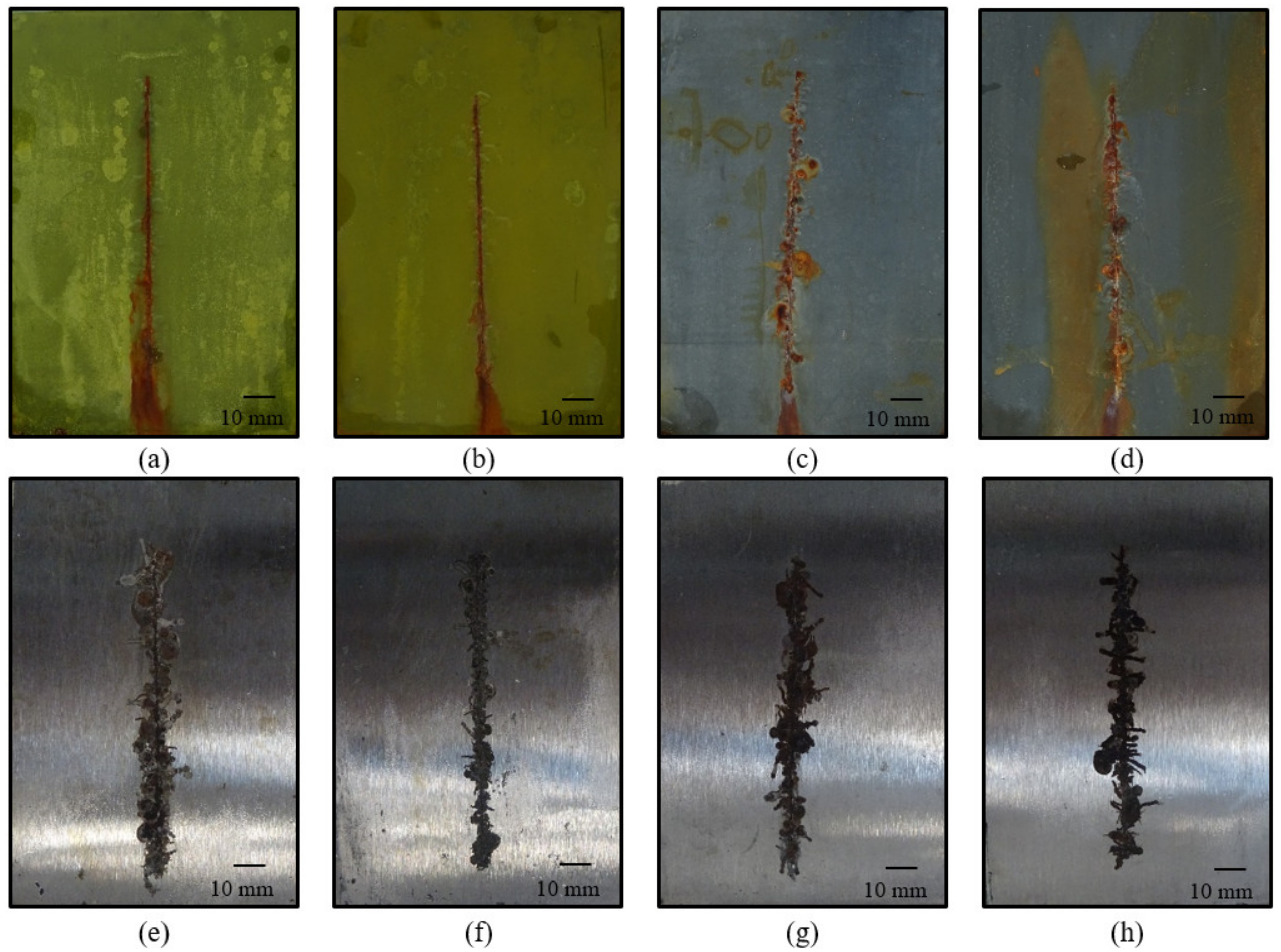 Coatings 13 01276 g016