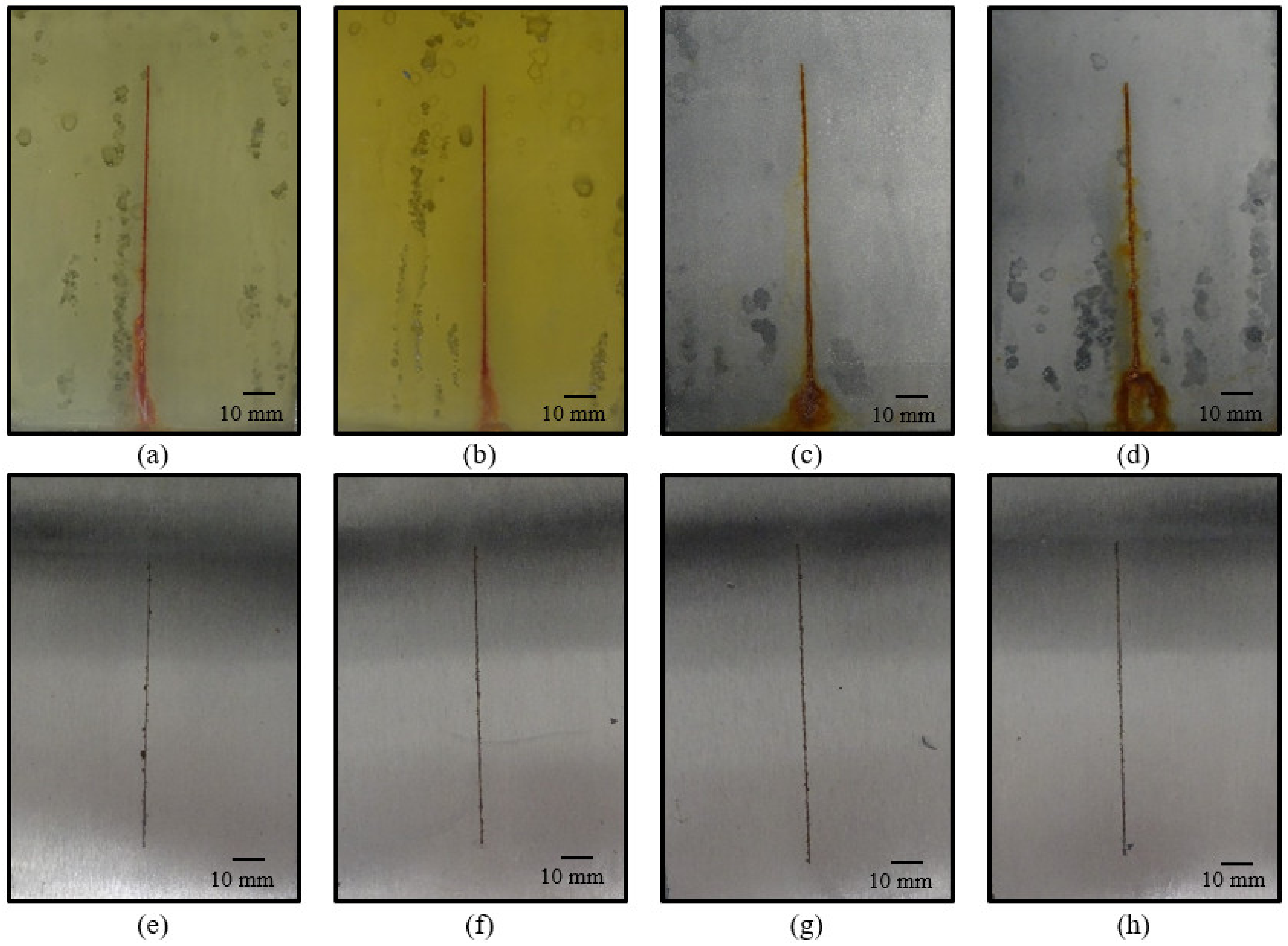 Coatings 13 01276 g017