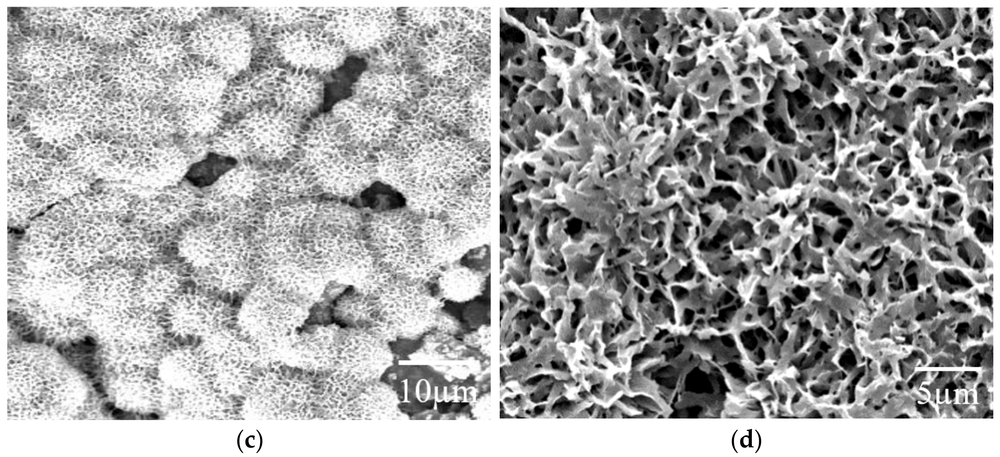 Coatings 13 01276 g024b