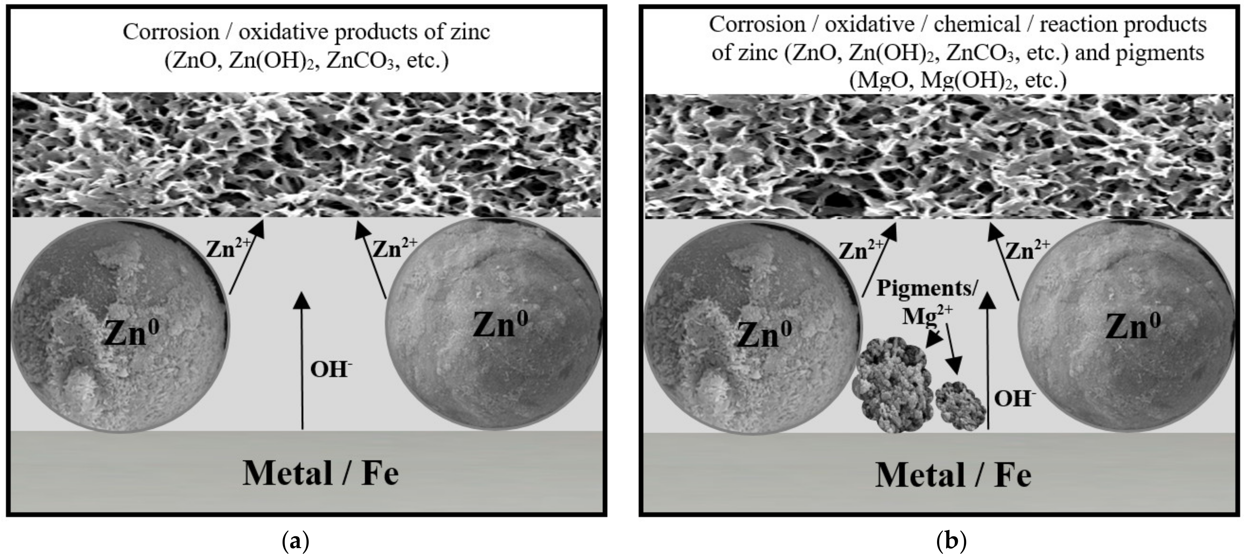 Coatings 13 01276 g025