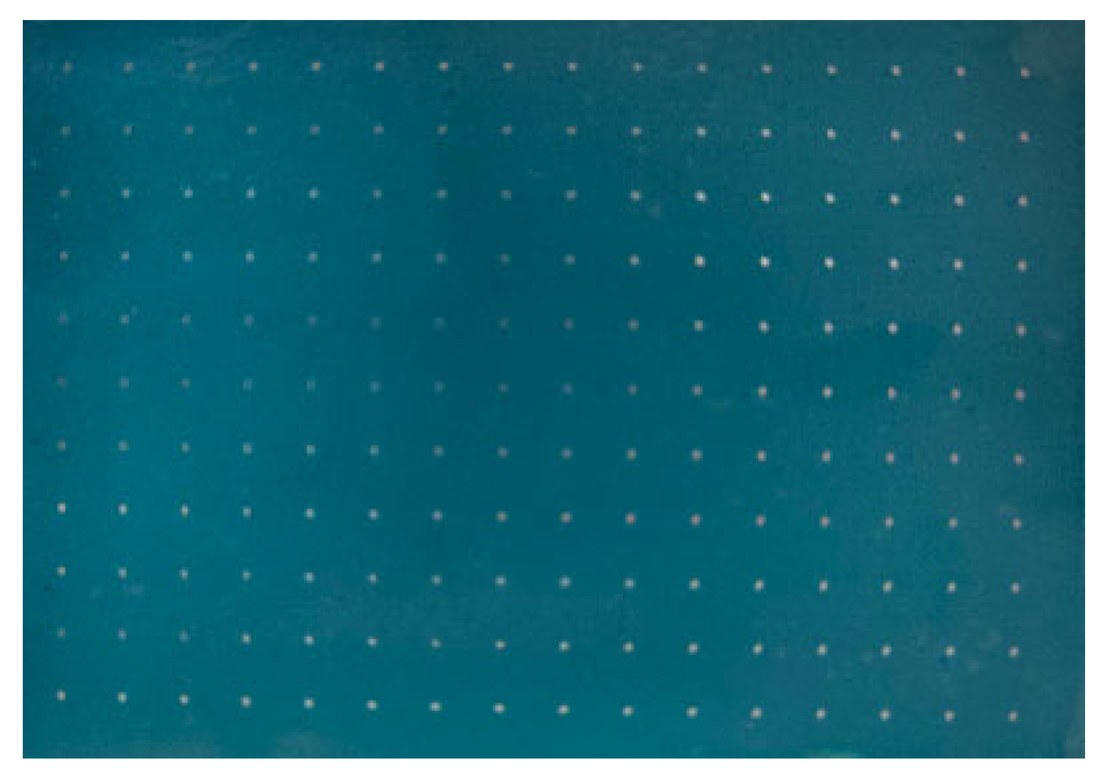 Coatings 13 01280 g005 Coatings 13 01280 g005