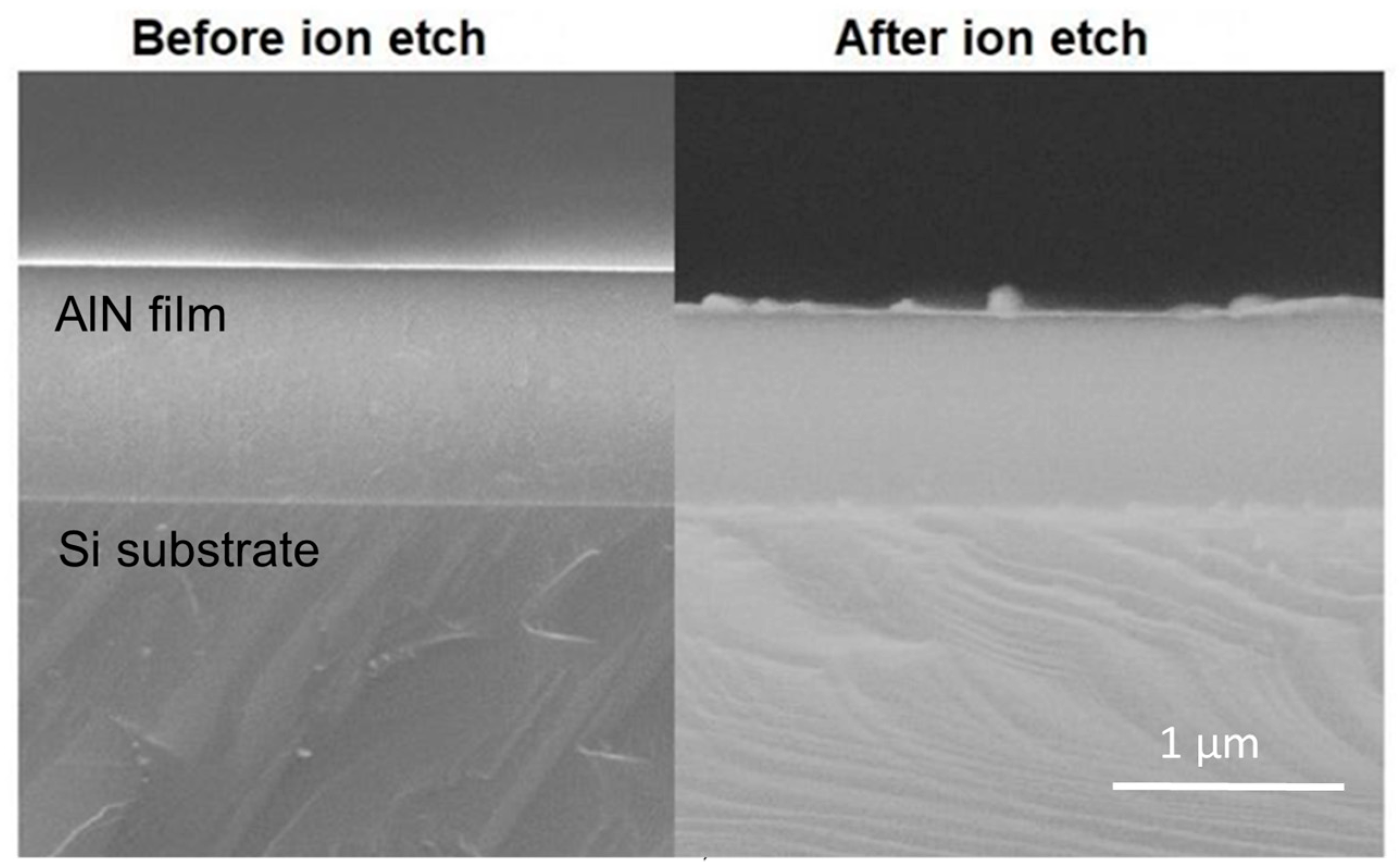 Coatings 13 01281 g005