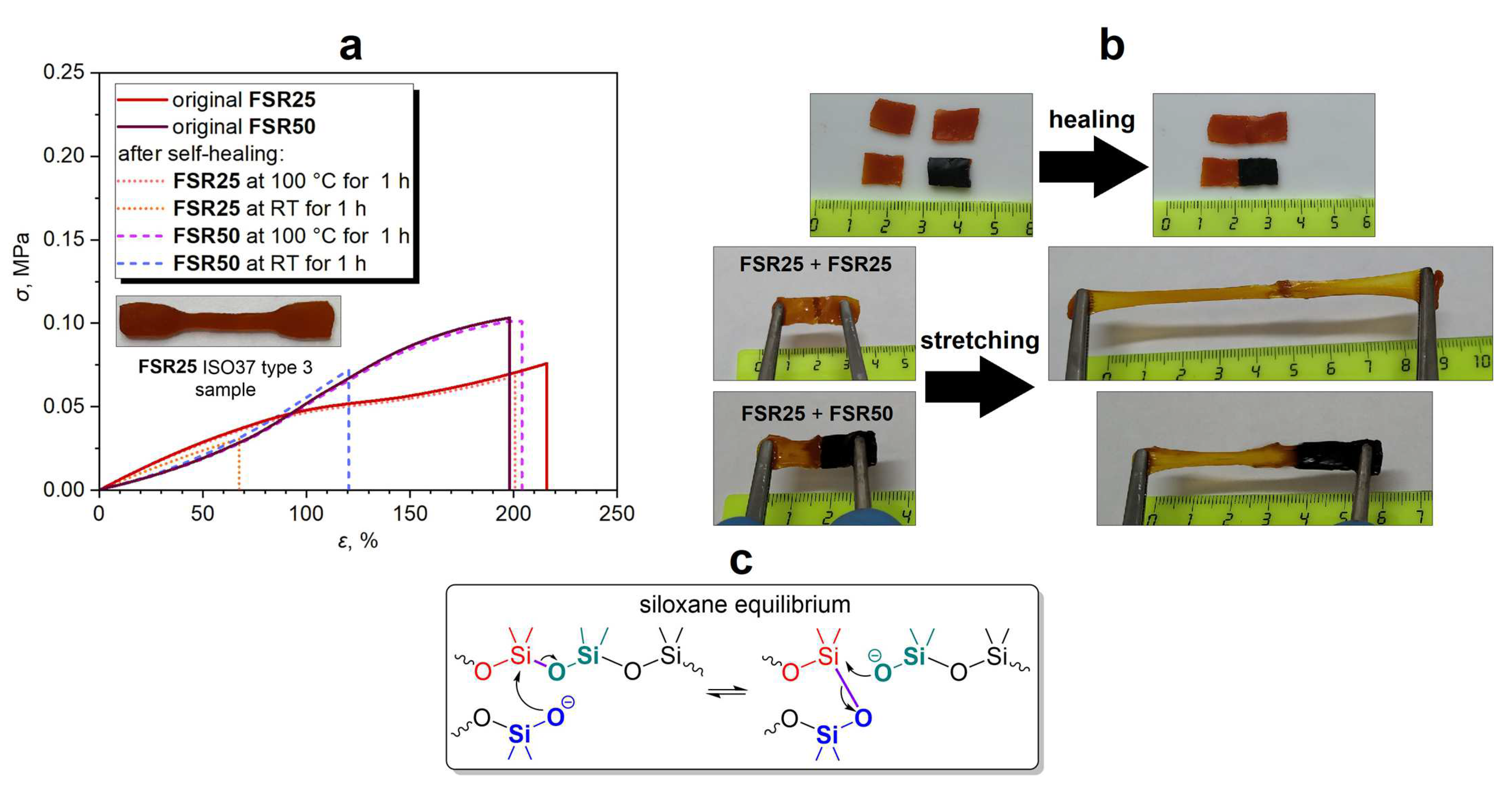 Coatings 13 01282 g002