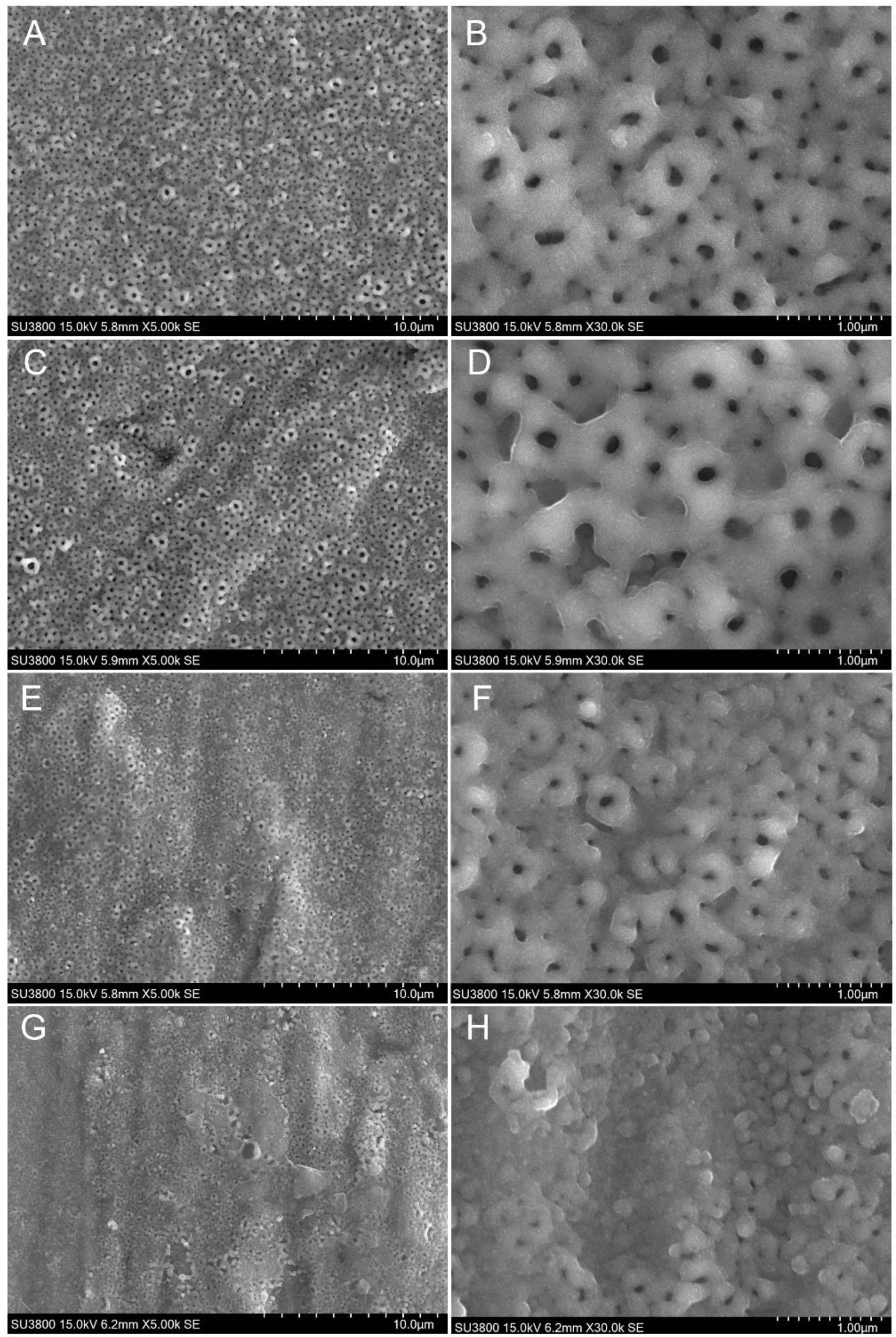 Coatings 13 01284 g005 Coatings 13 01284 g005