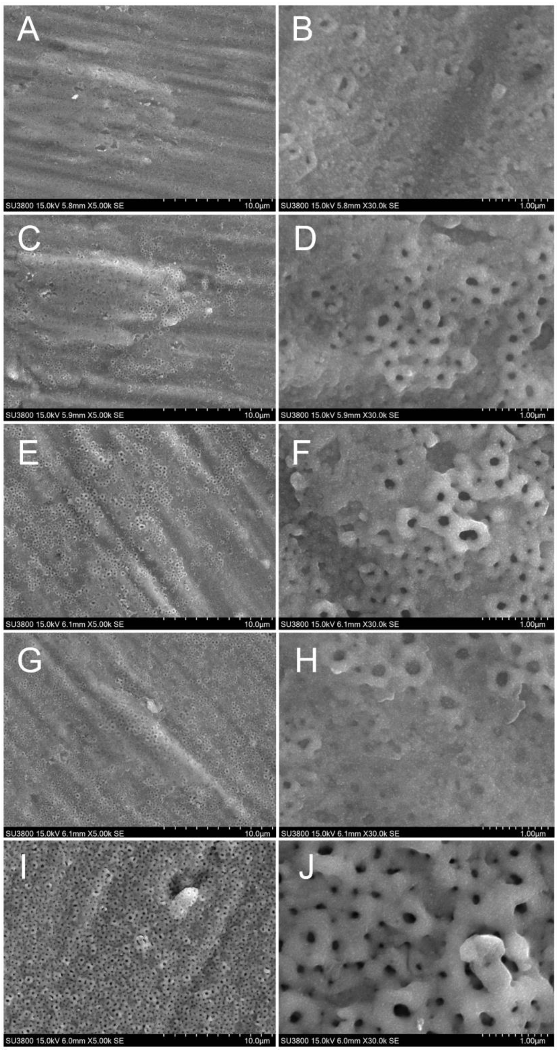 Coatings 13 01284 g006 Coatings 13 01284 g006