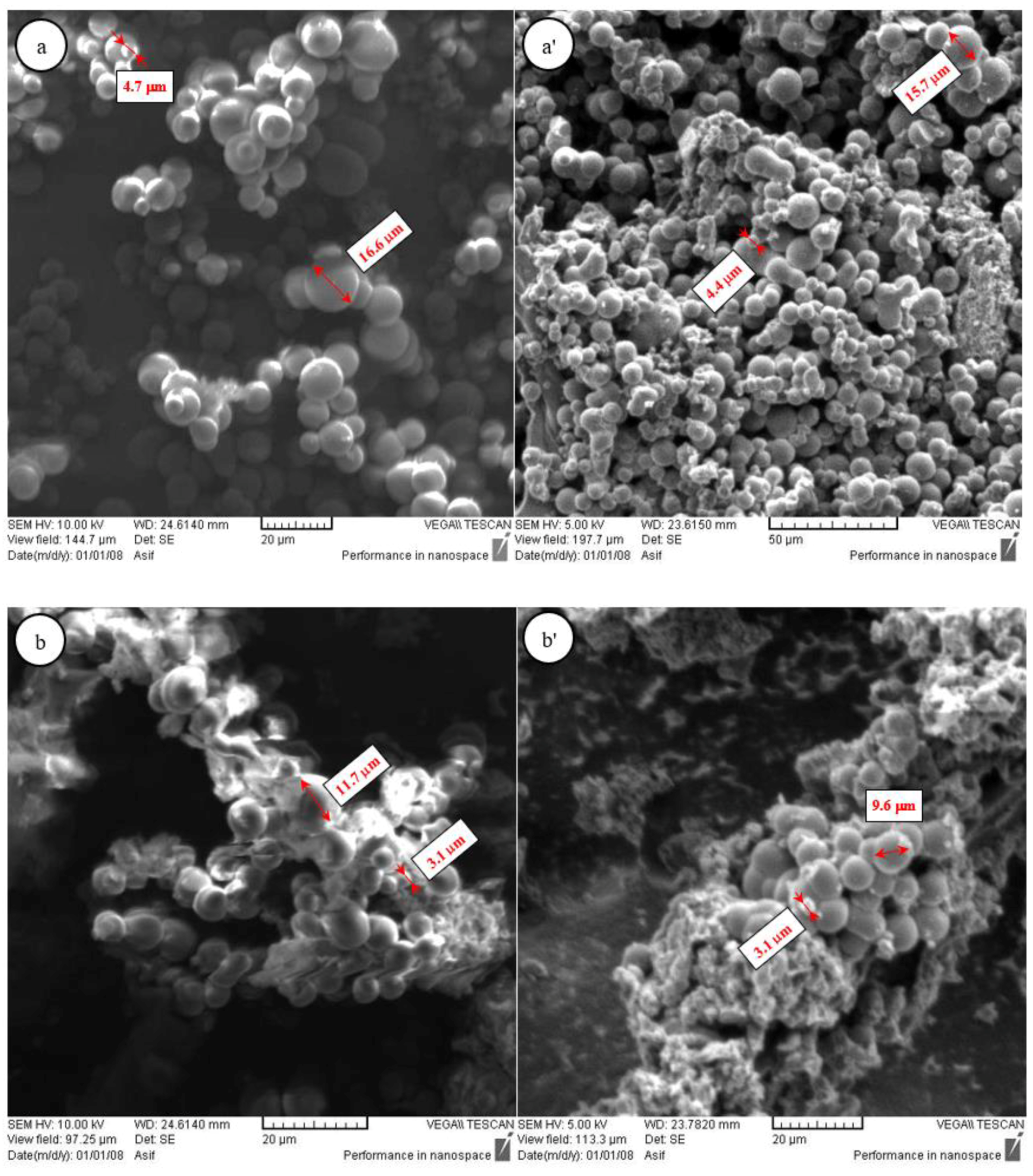 Coatings 13 01287 g001a Coatings 13 01287 g001a