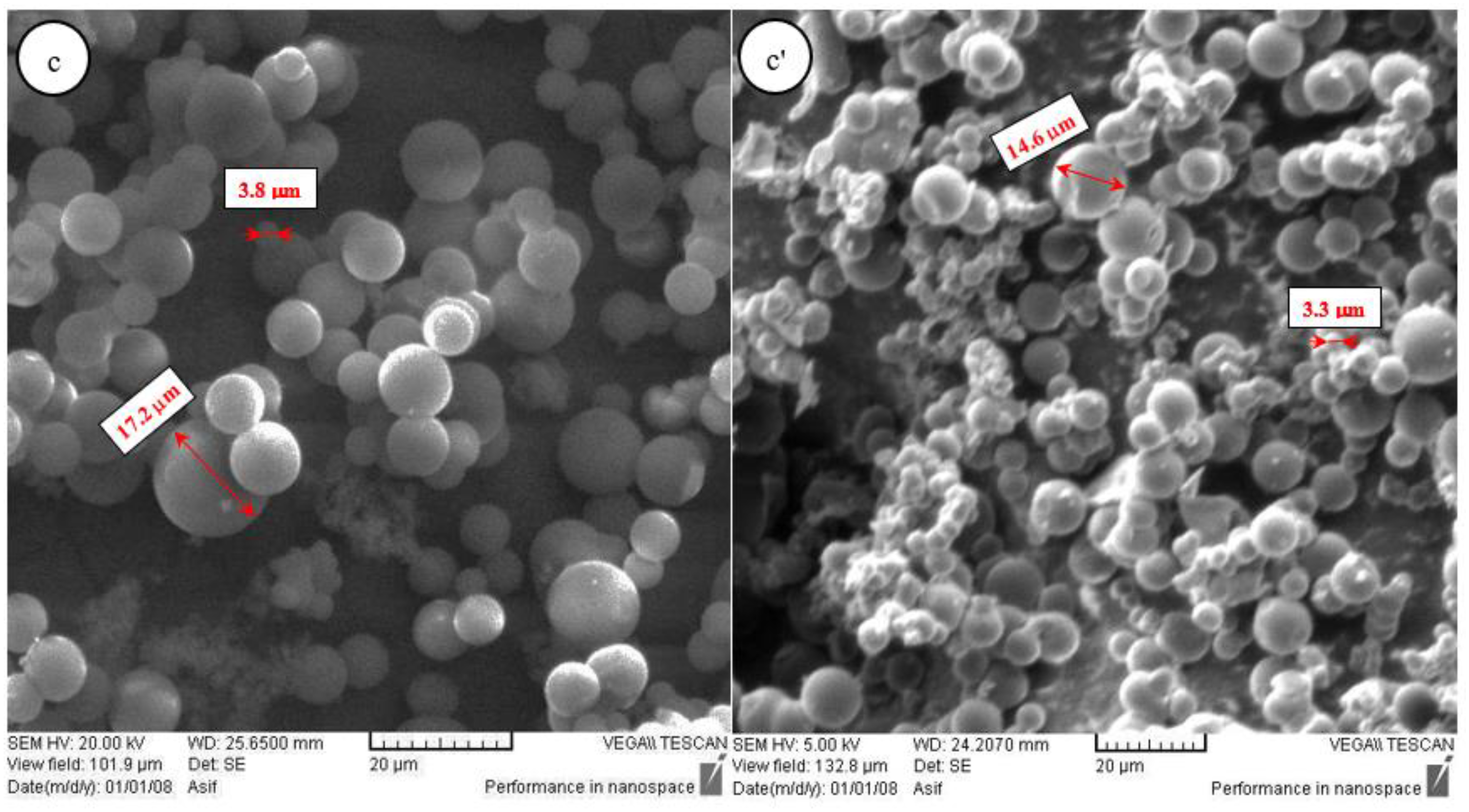 Coatings 13 01287 g001b Coatings 13 01287 g001b