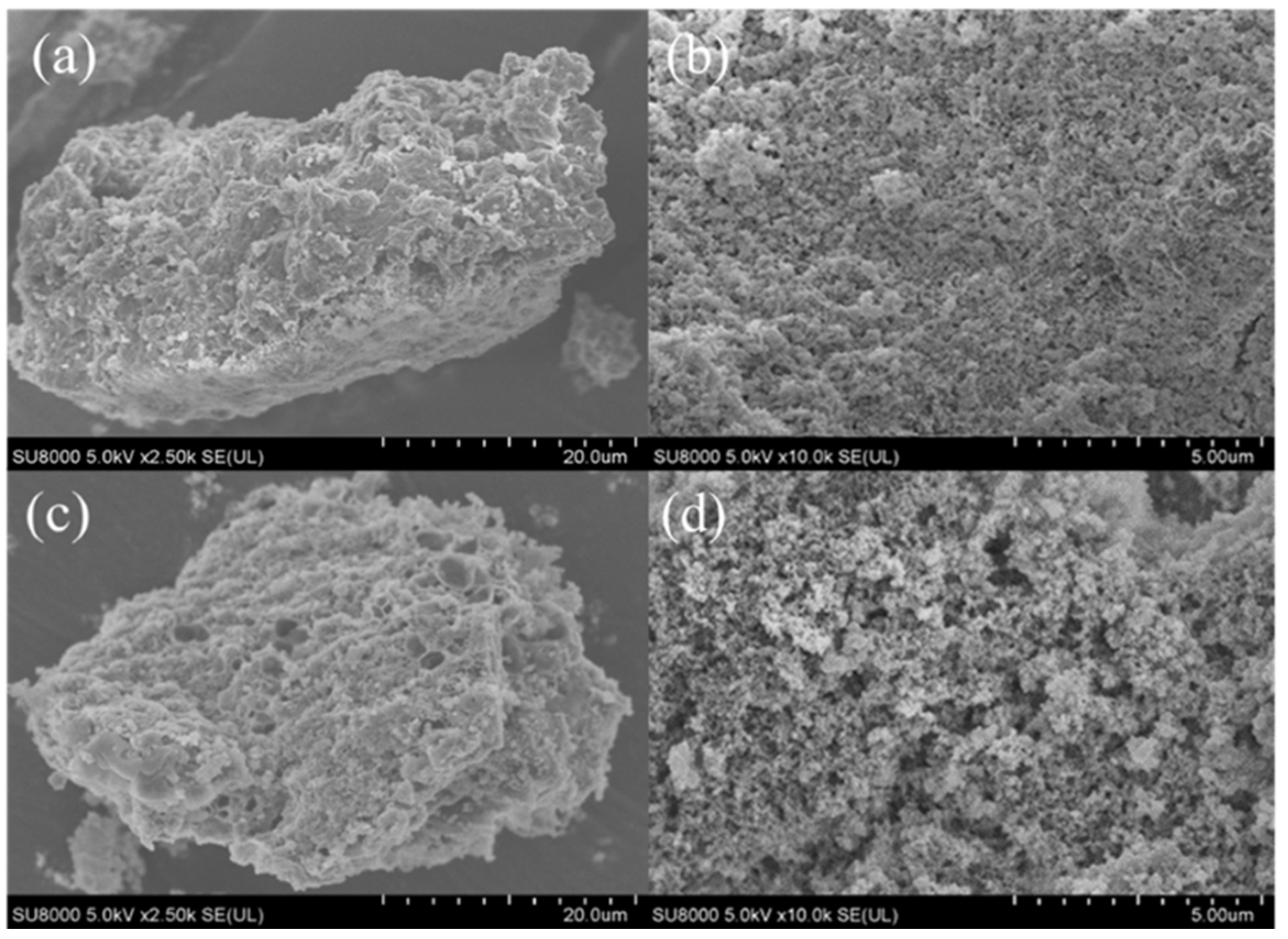 Coatings 13 01288 g002