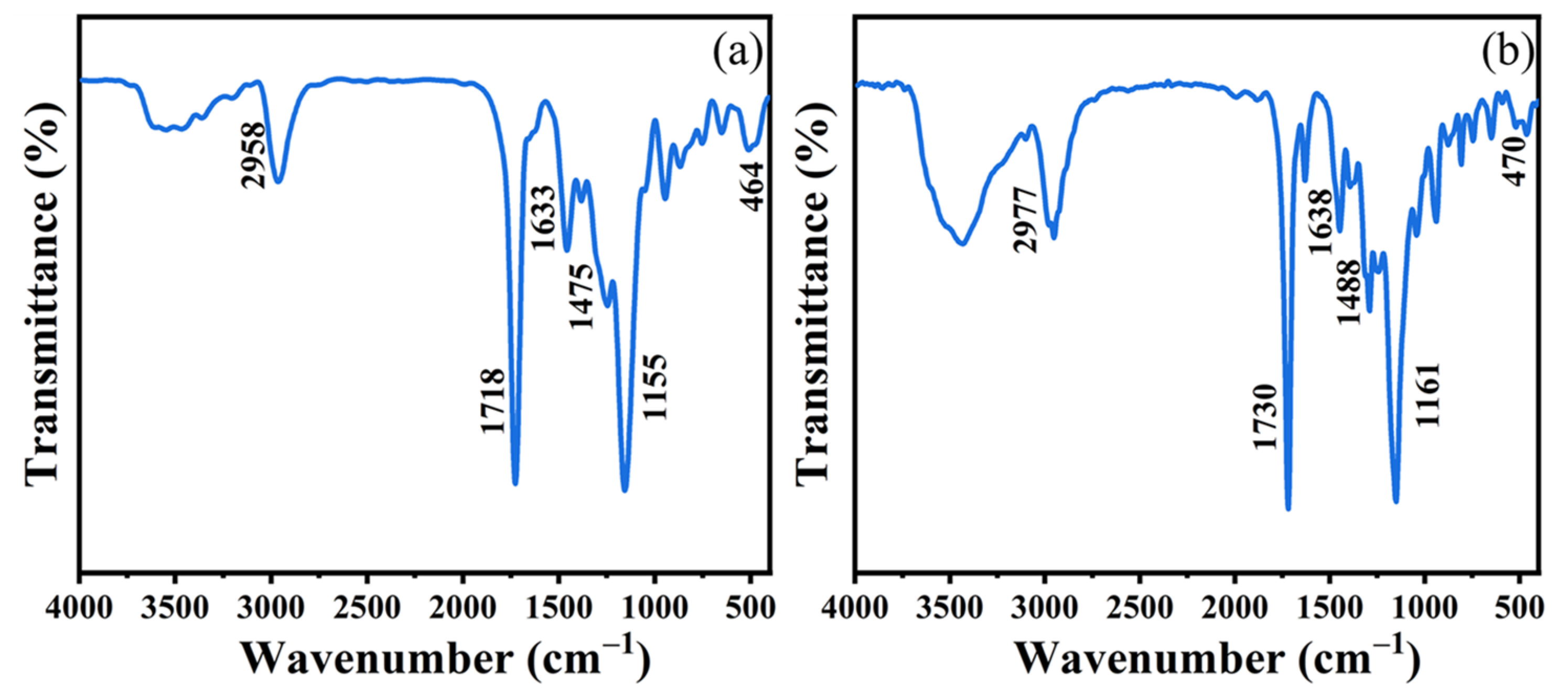 Coatings 13 01288 g006