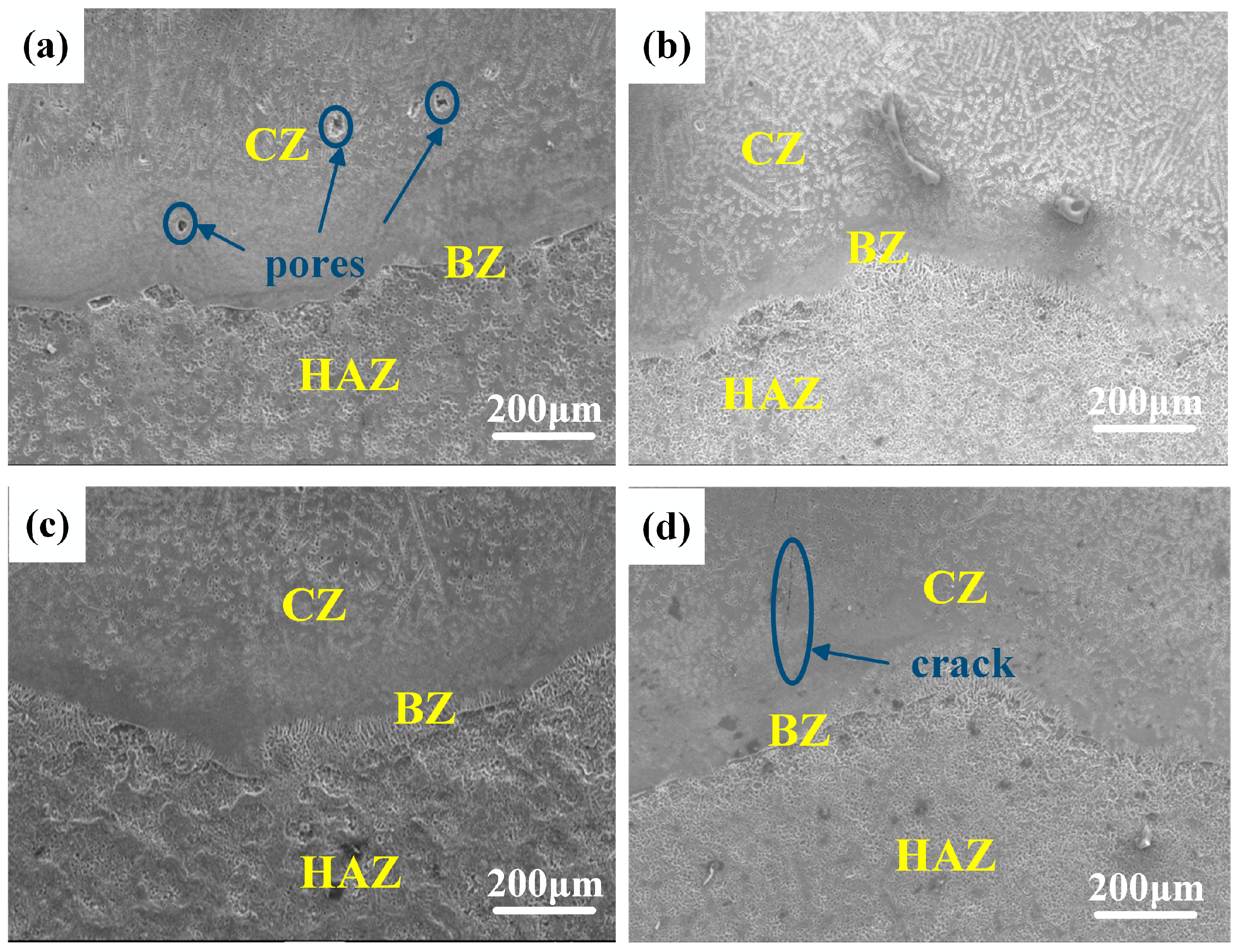 Coatings 13 01289 g005