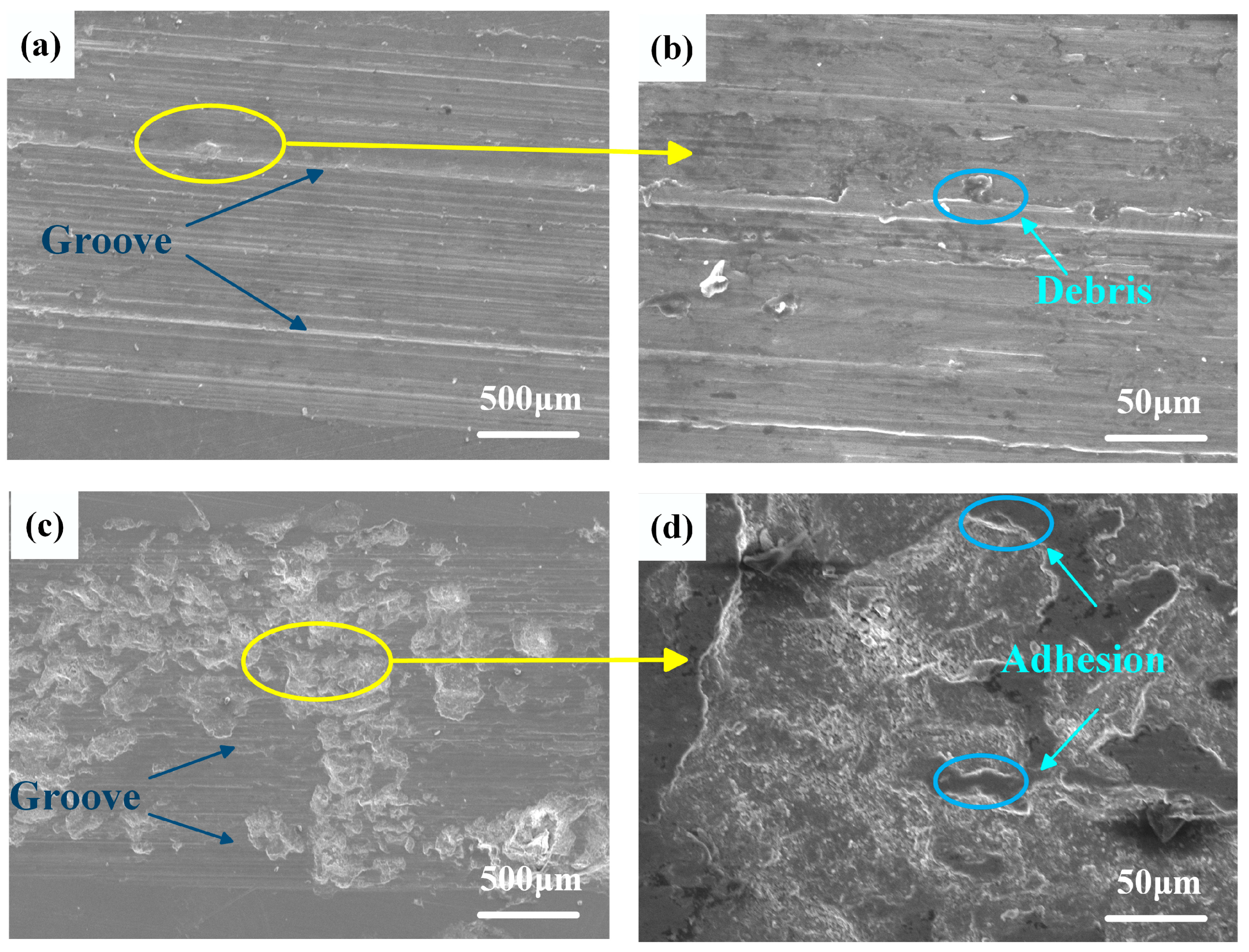 Coatings 13 01289 g009