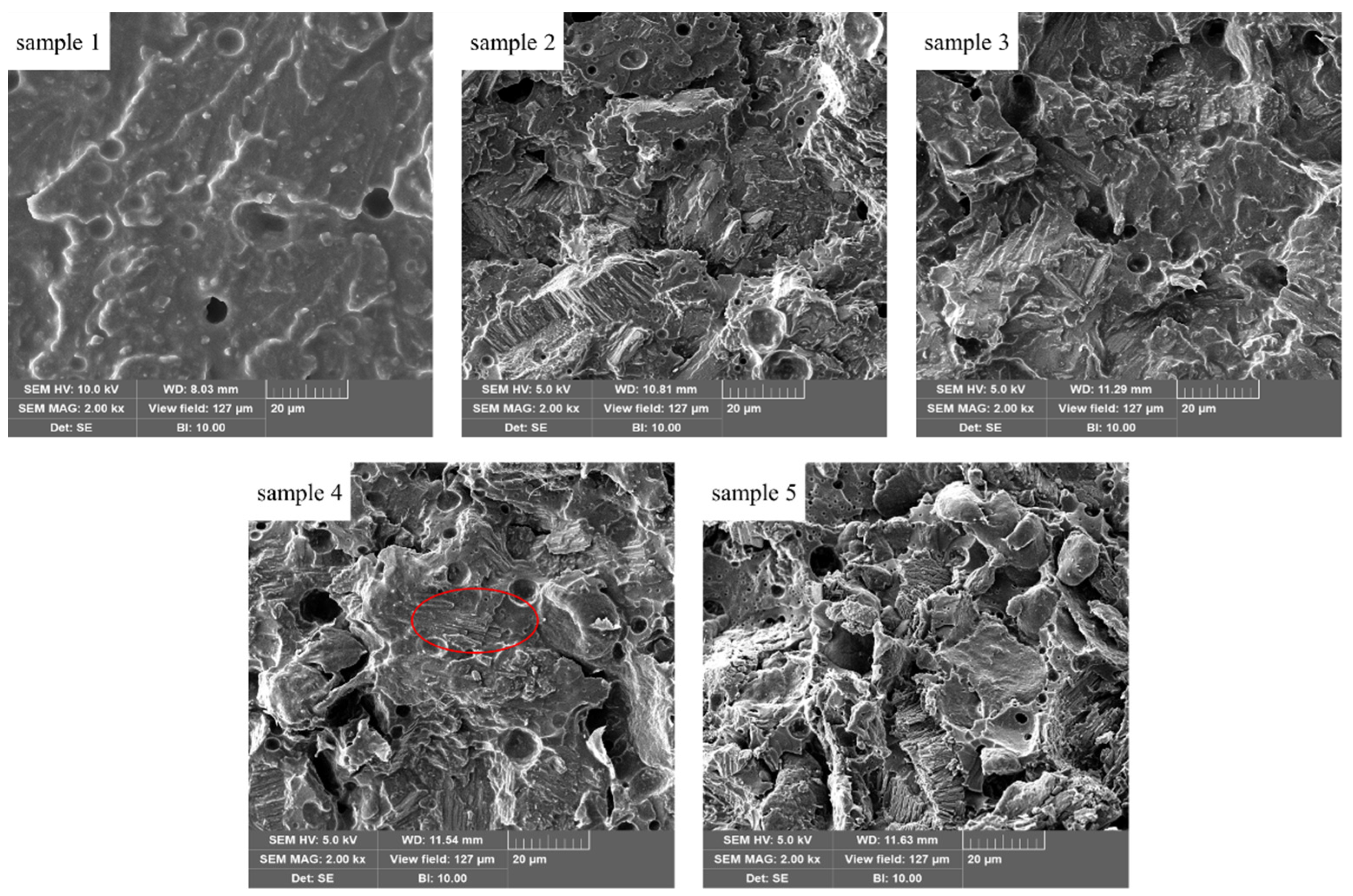 Coatings 13 01291 g004