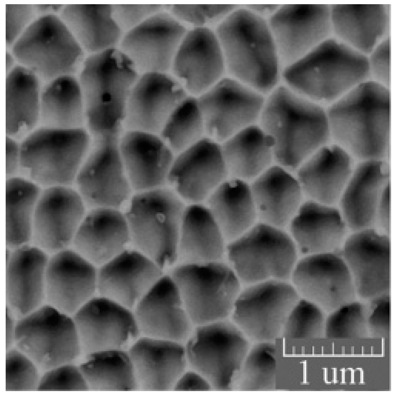 Coatings 13 01295 g010 Coatings 13 01295 g010