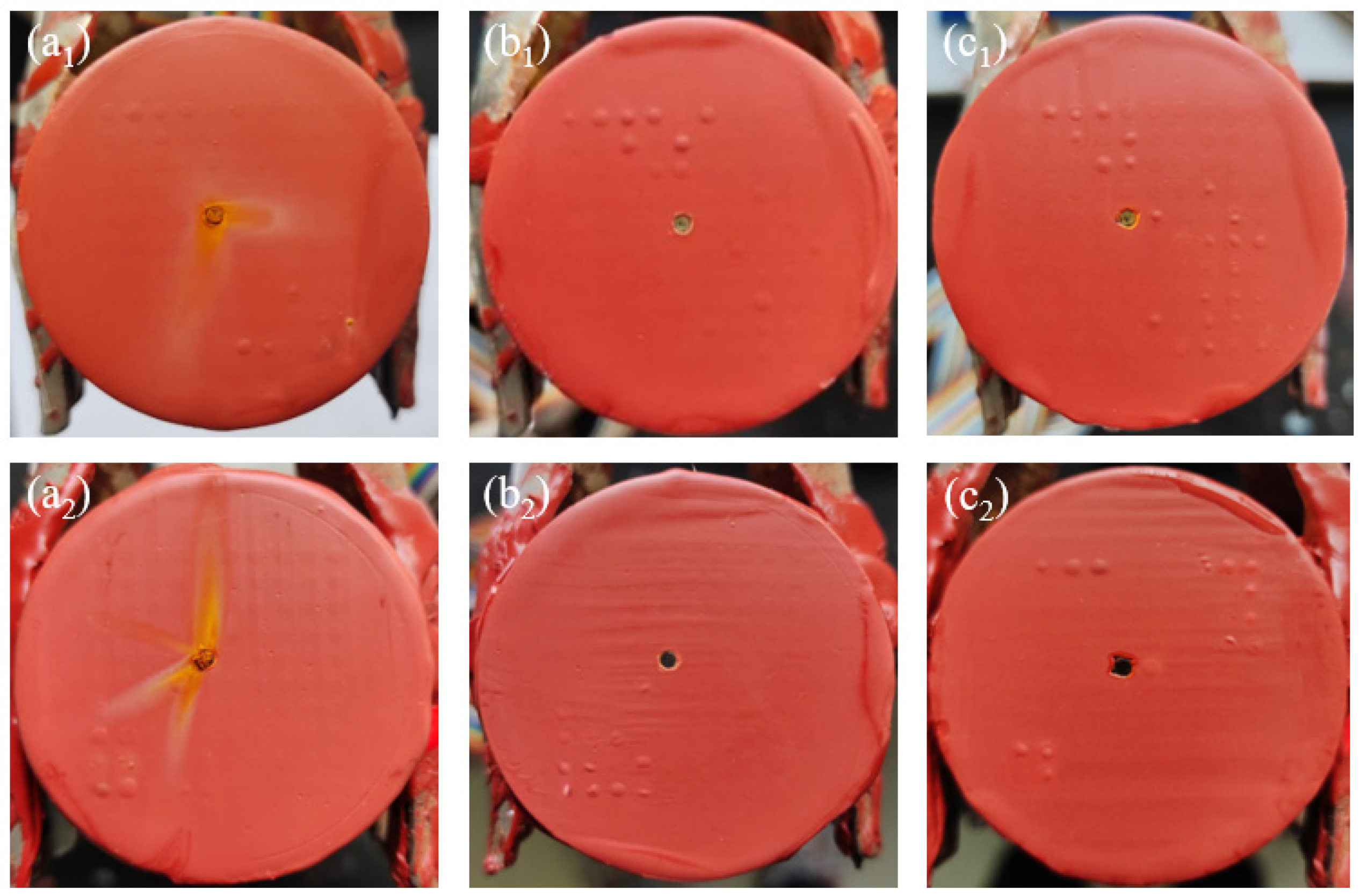 Coatings 13 01296 g008 Coatings 13 01296 g008