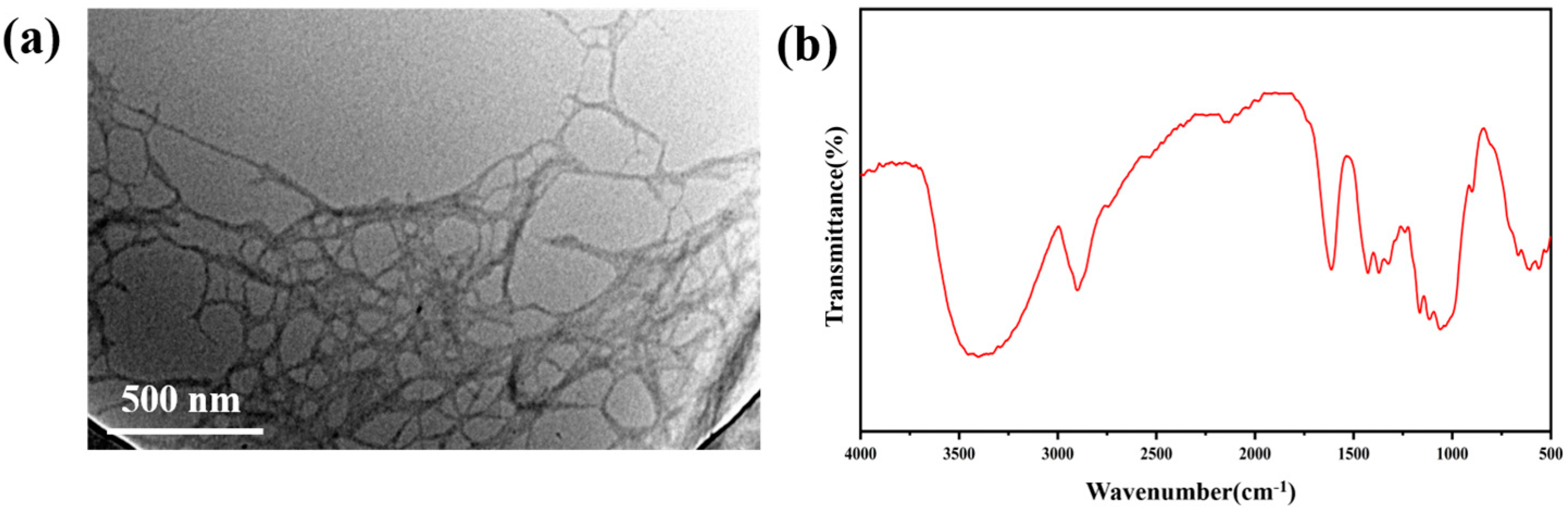 Coatings 13 01297 g001 Coatings 13 01297 g001