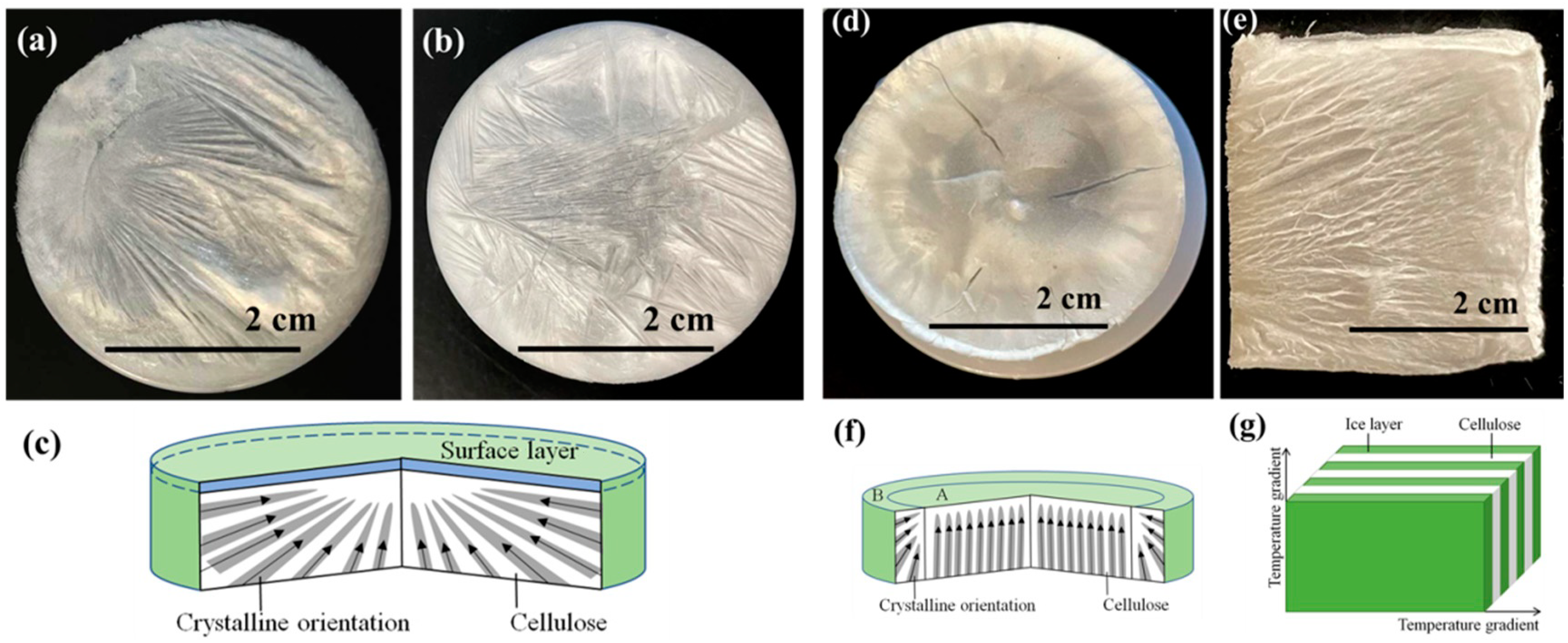Coatings 13 01297 g003 Coatings 13 01297 g003