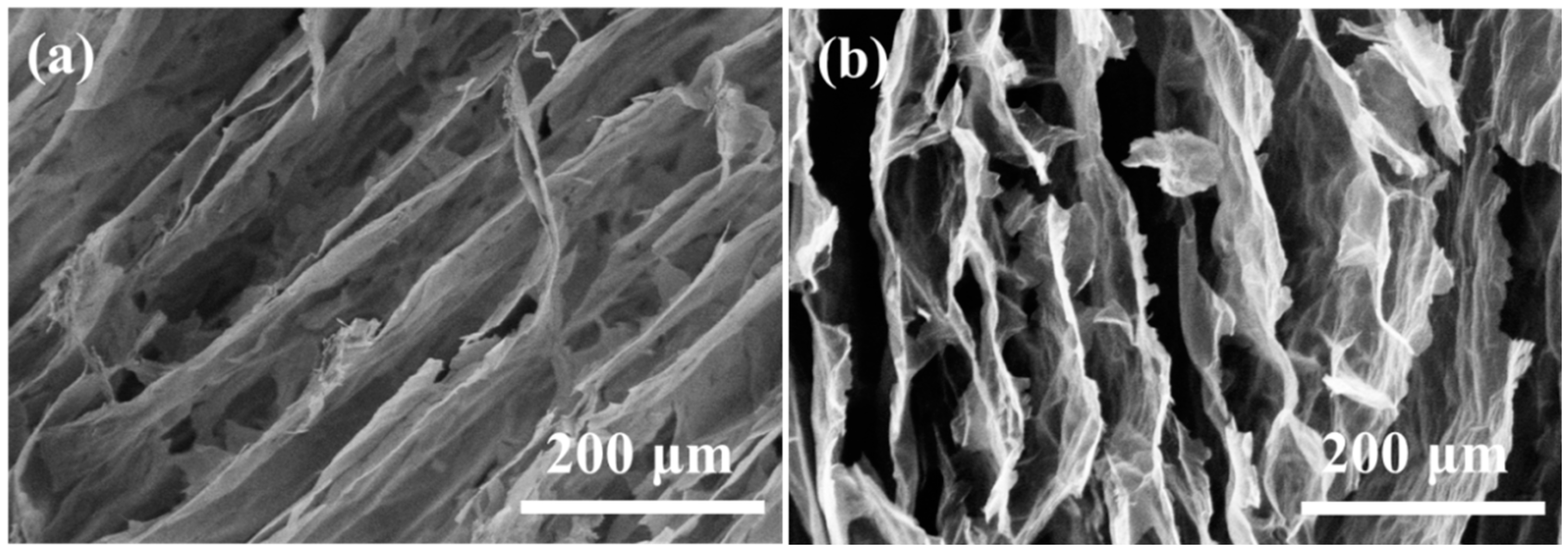 Coatings 13 01297 g006 Coatings 13 01297 g006
