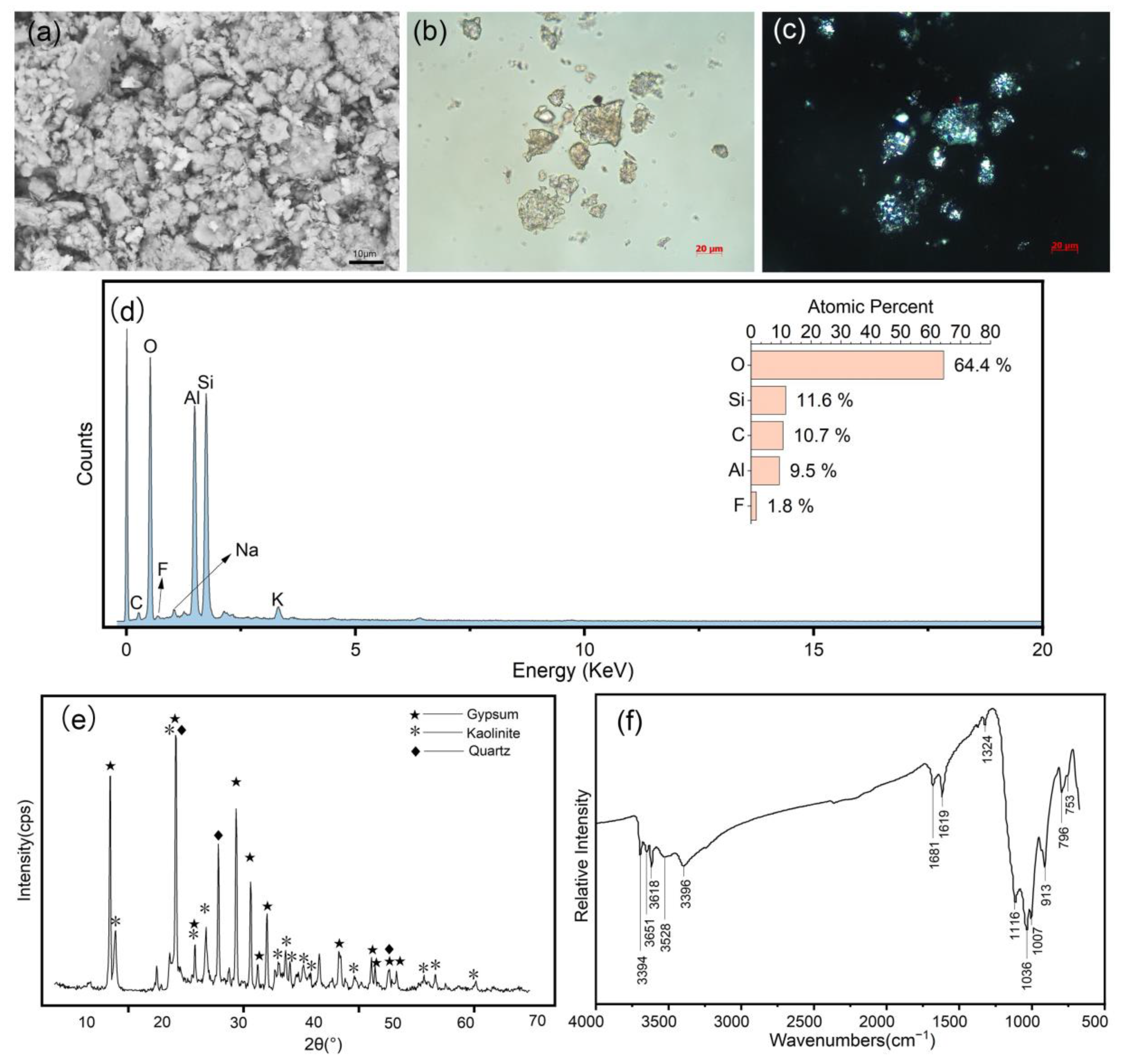 Coatings 13 01298 g003