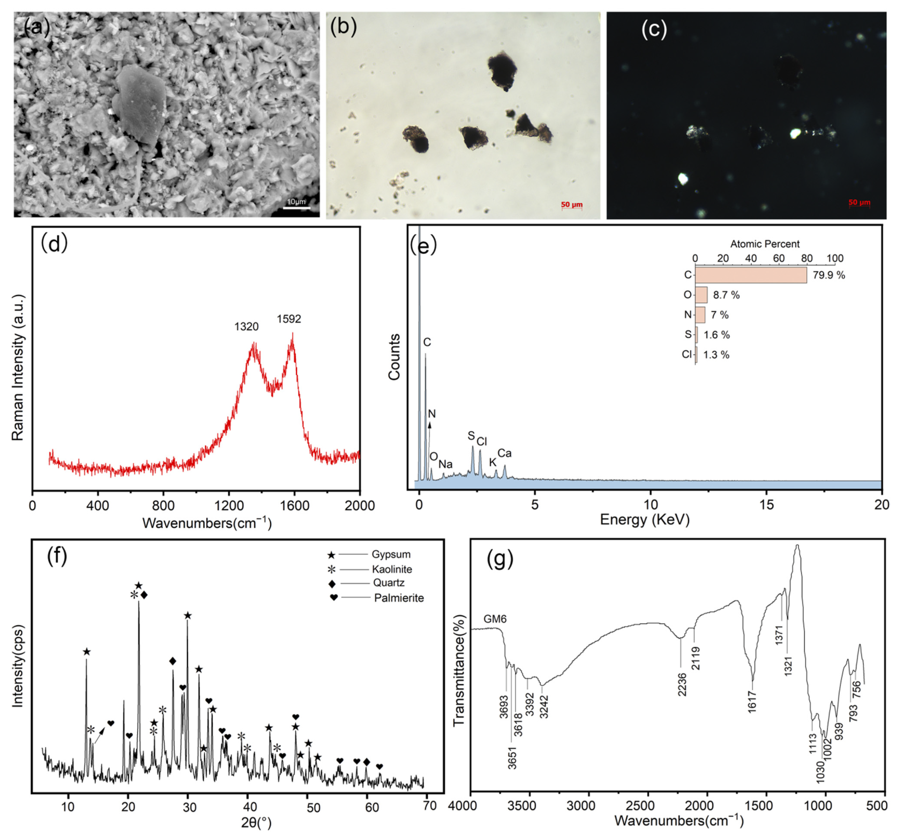 Coatings 13 01298 g009
