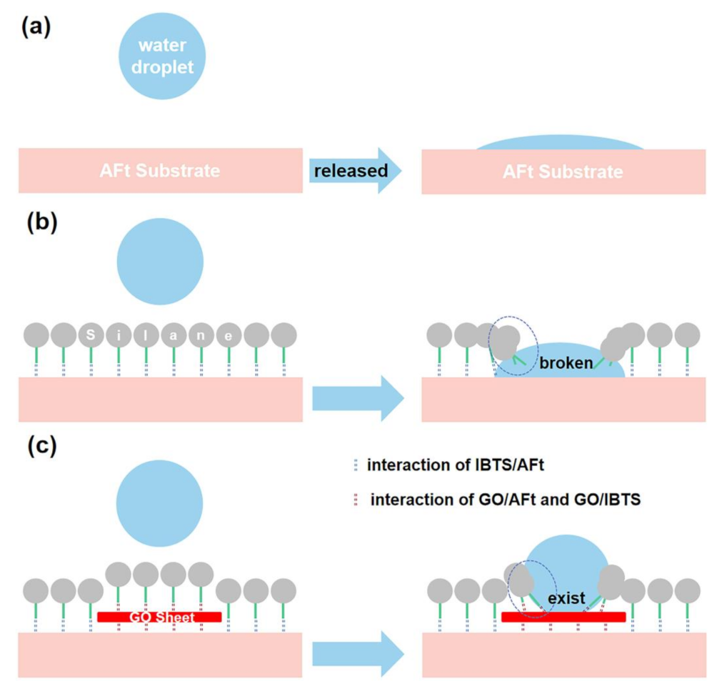 Coatings 13 01299 g017 Coatings 13 01299 g017