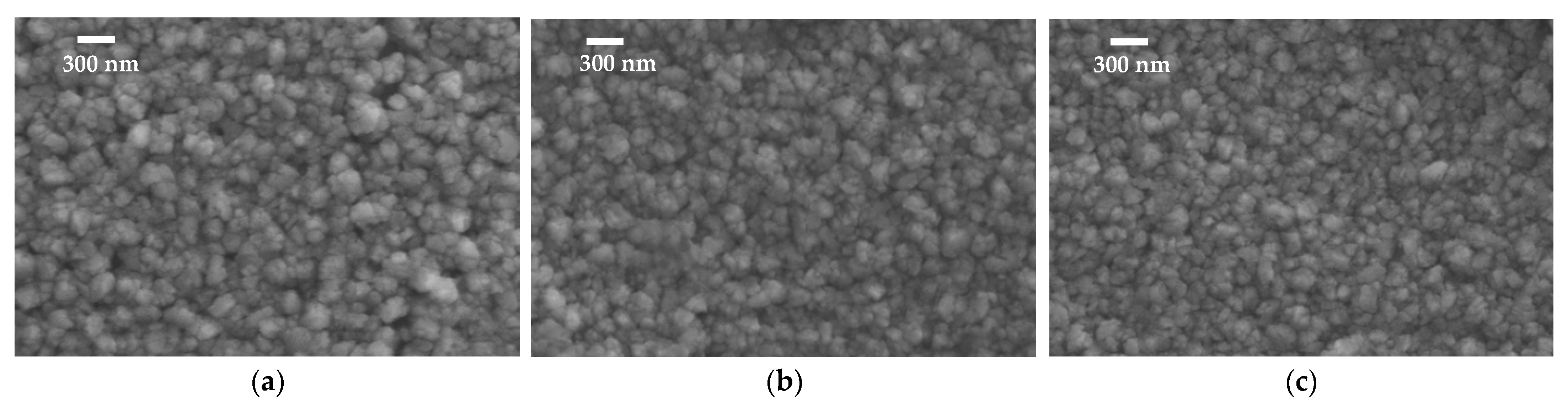 Coatings 13 01300 g001 Coatings 13 01300 g001