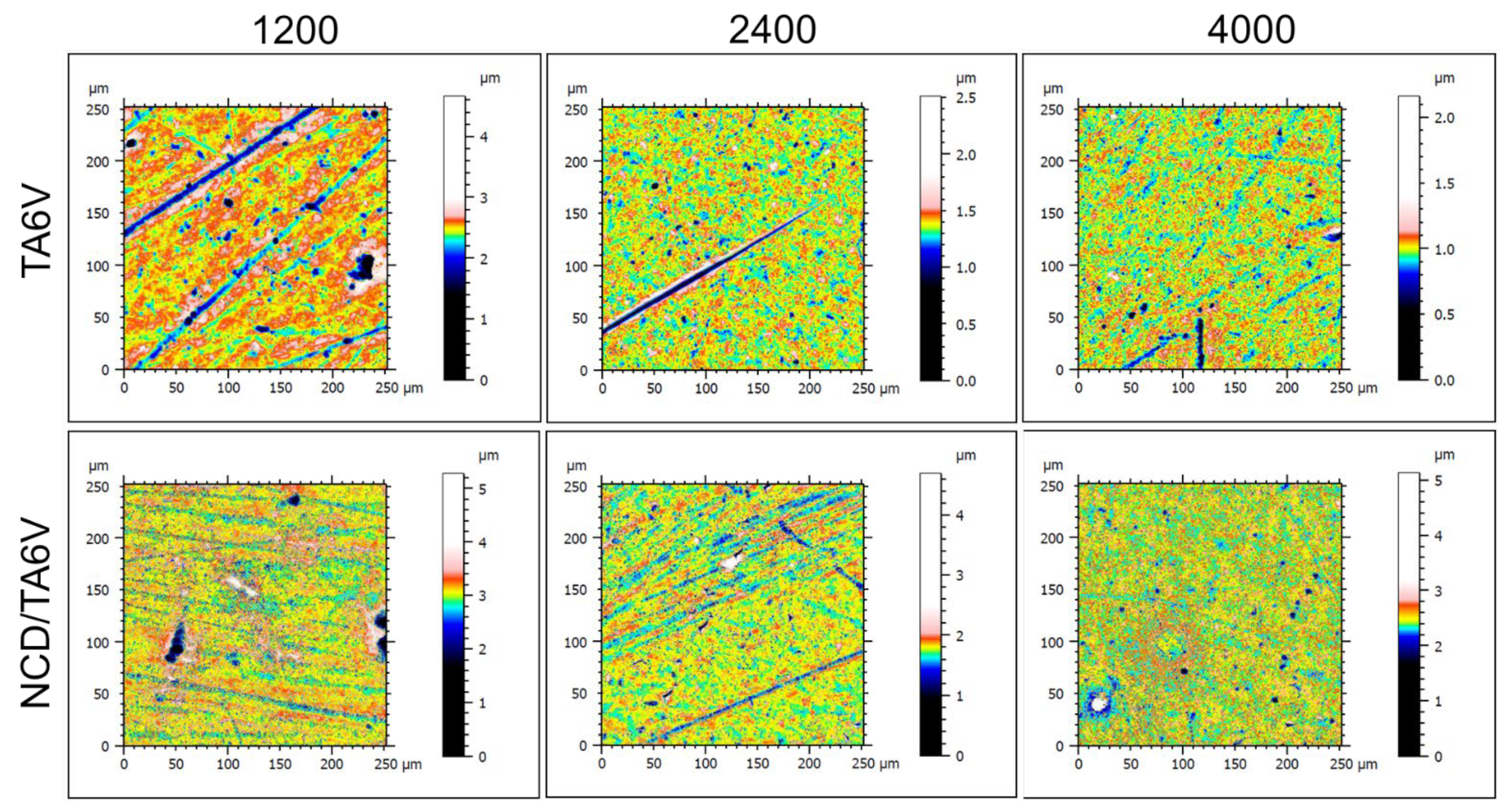Coatings 13 01300 g006 Coatings 13 01300 g006