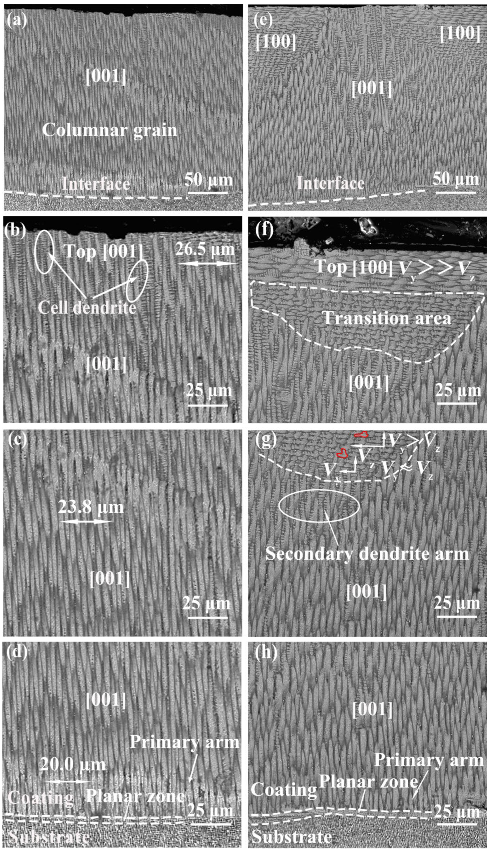 Coatings 13 01303 g007 Coatings 13 01303 g007