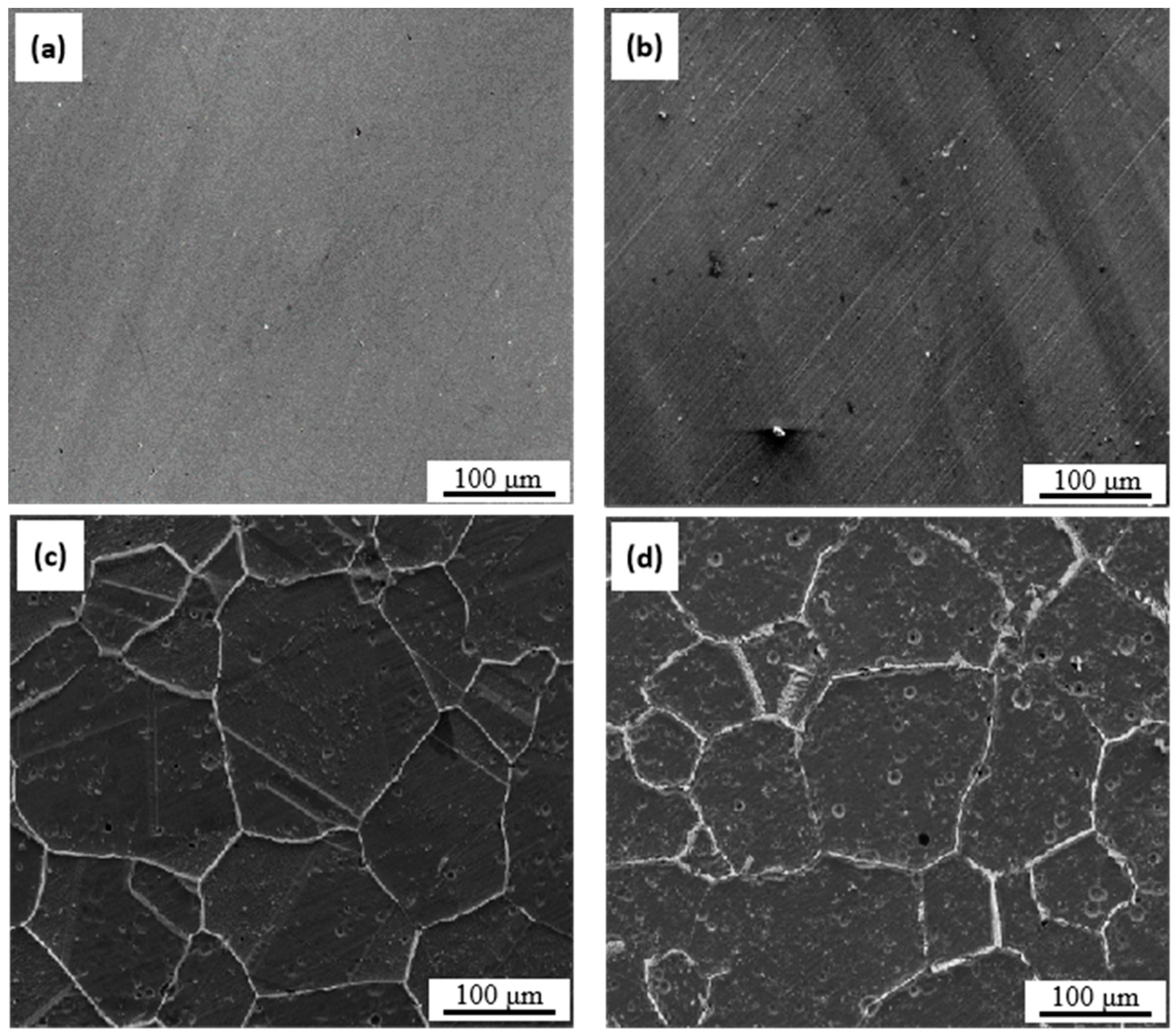 Coatings 13 01304 g005