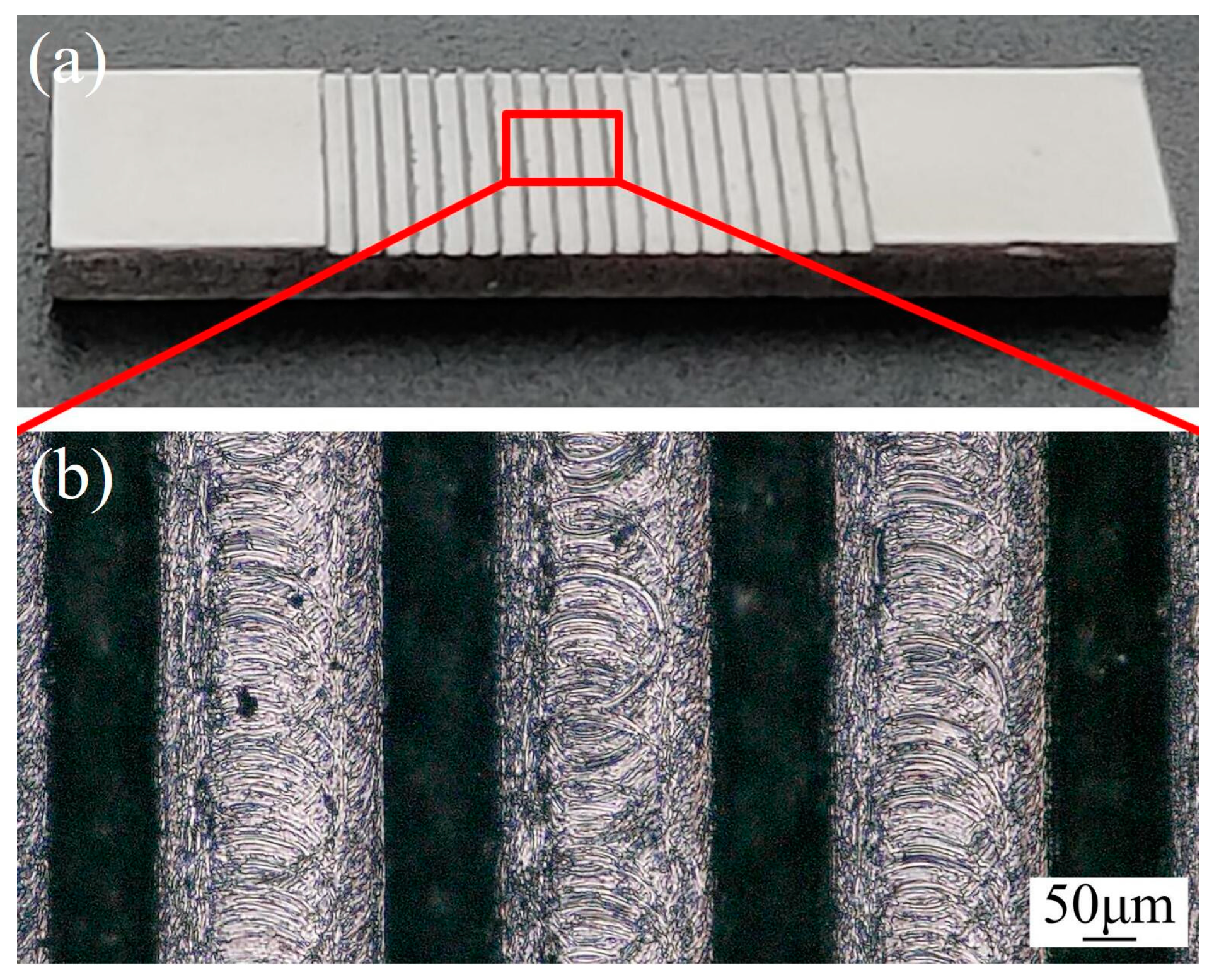 Coatings 13 01305 g008 Coatings 13 01305 g008