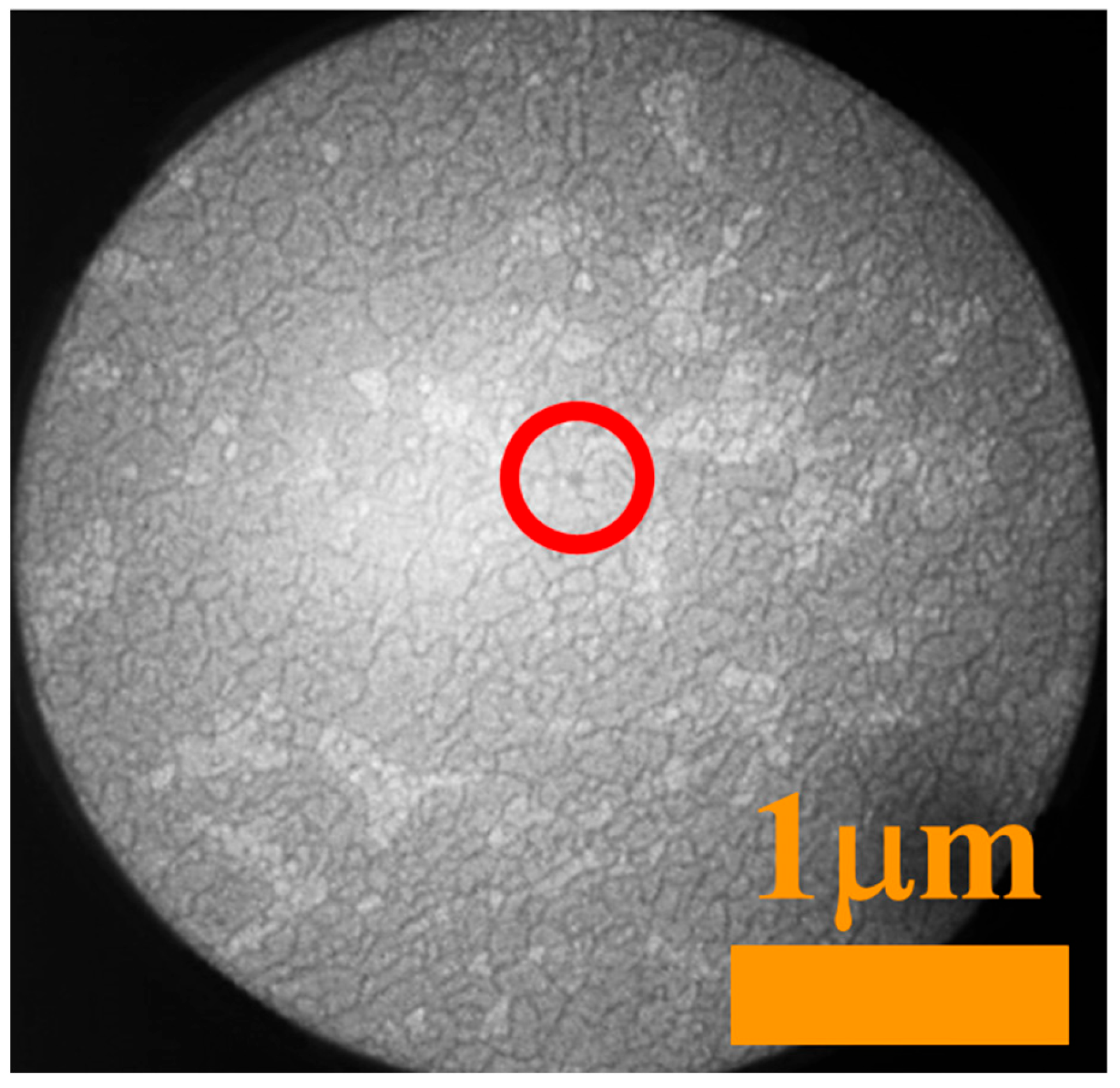 Coatings 13 01306 g002 Coatings 13 01306 g002