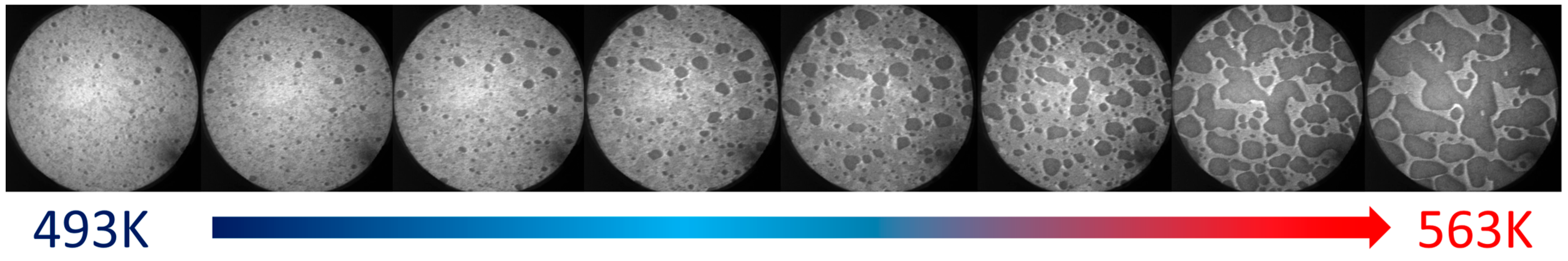 Coatings 13 01306 g003 Coatings 13 01306 g003