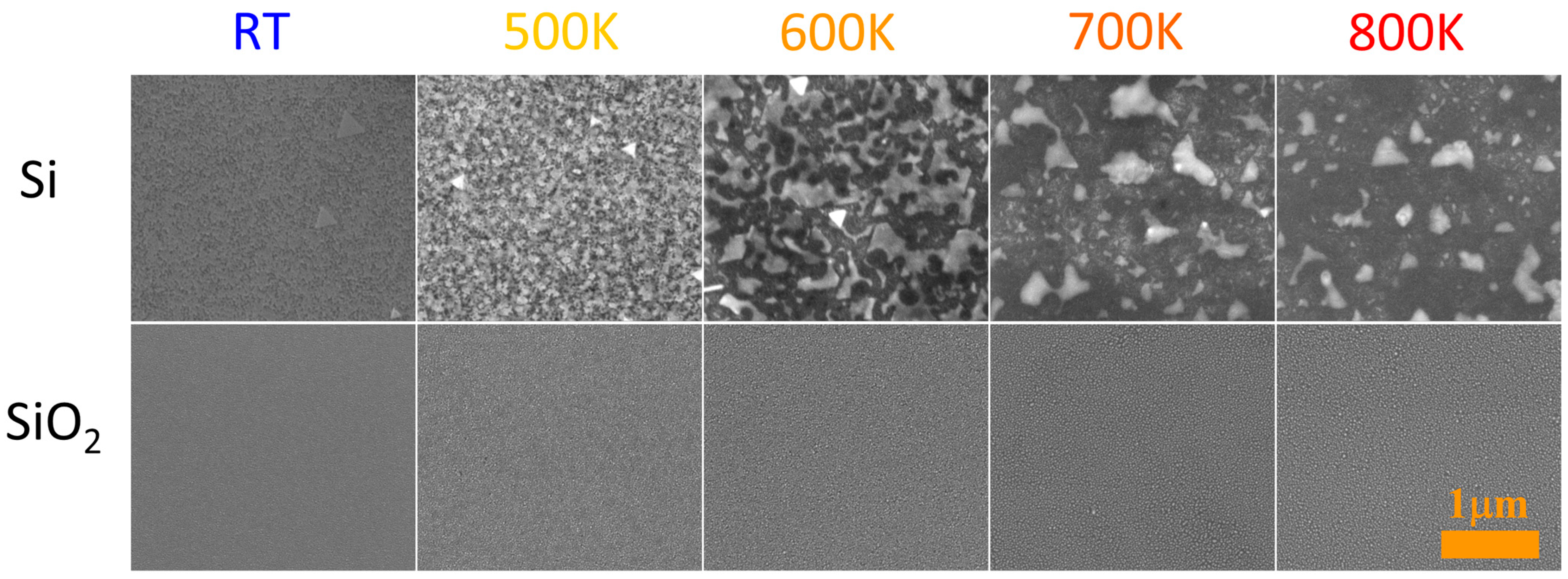 Coatings 13 01306 g005 Coatings 13 01306 g005