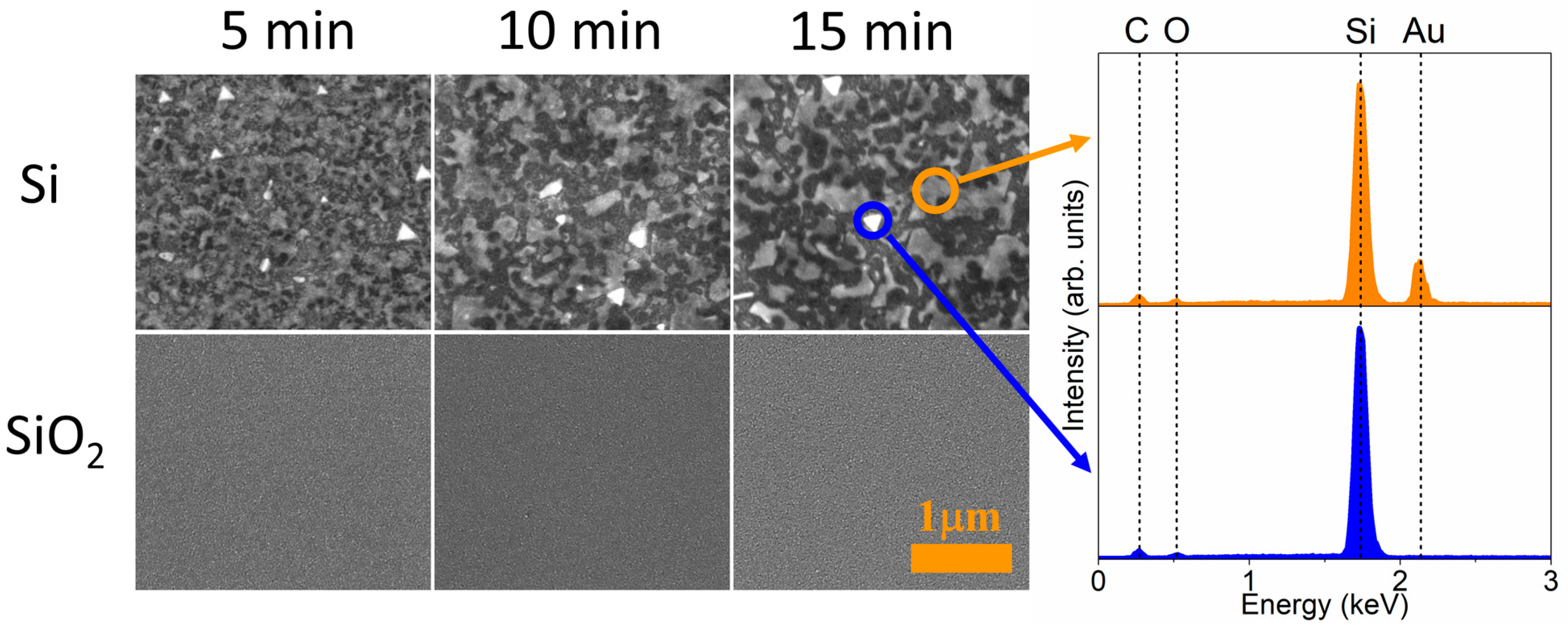 Coatings 13 01306 g007 Coatings 13 01306 g007