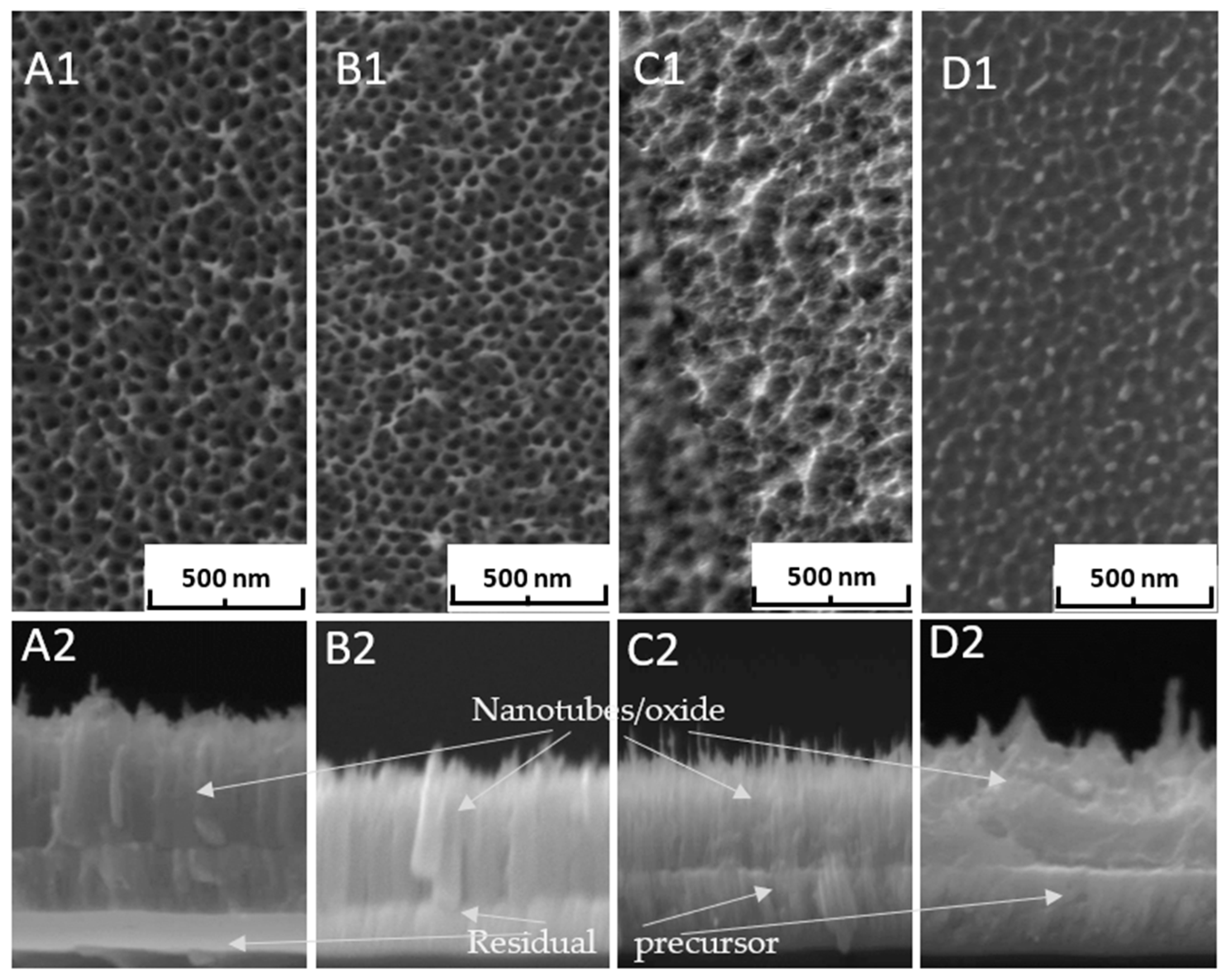 Coatings 13 01309 g004 Coatings 13 01309 g004