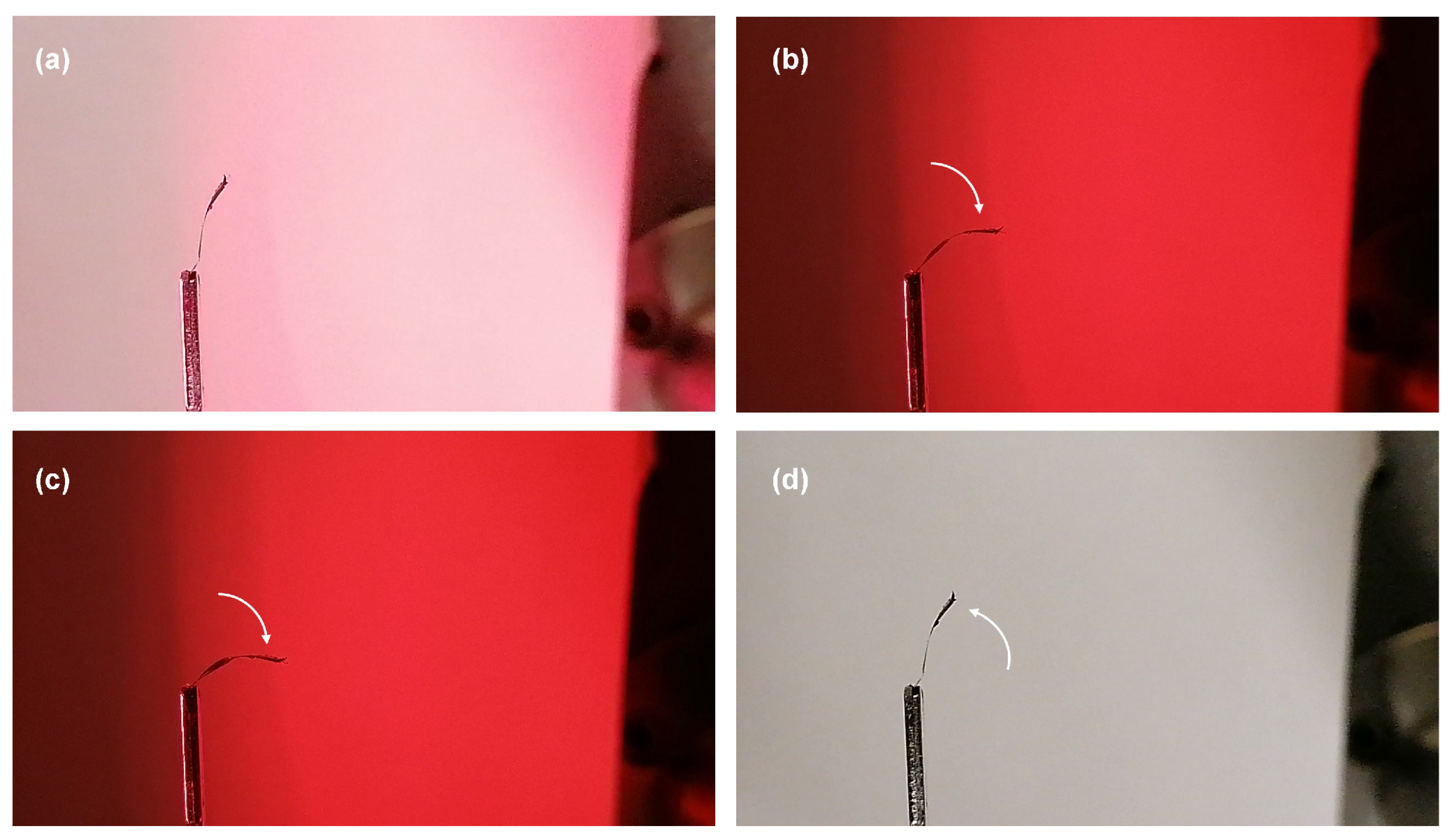 Coatings 13 01310 g003