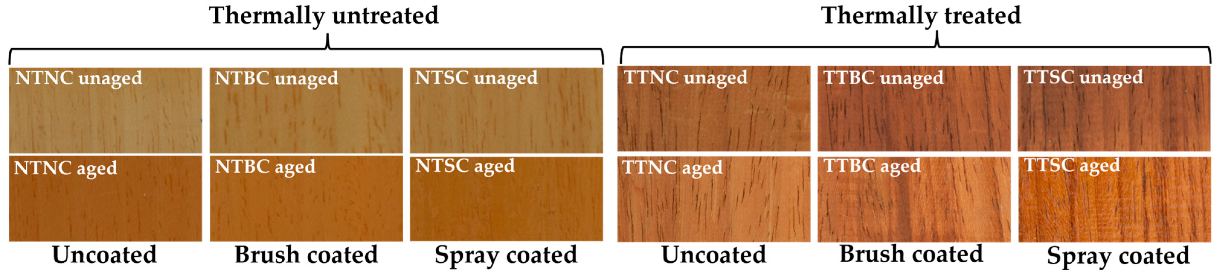 Coatings 13 01312 g001 Coatings 13 01312 g001