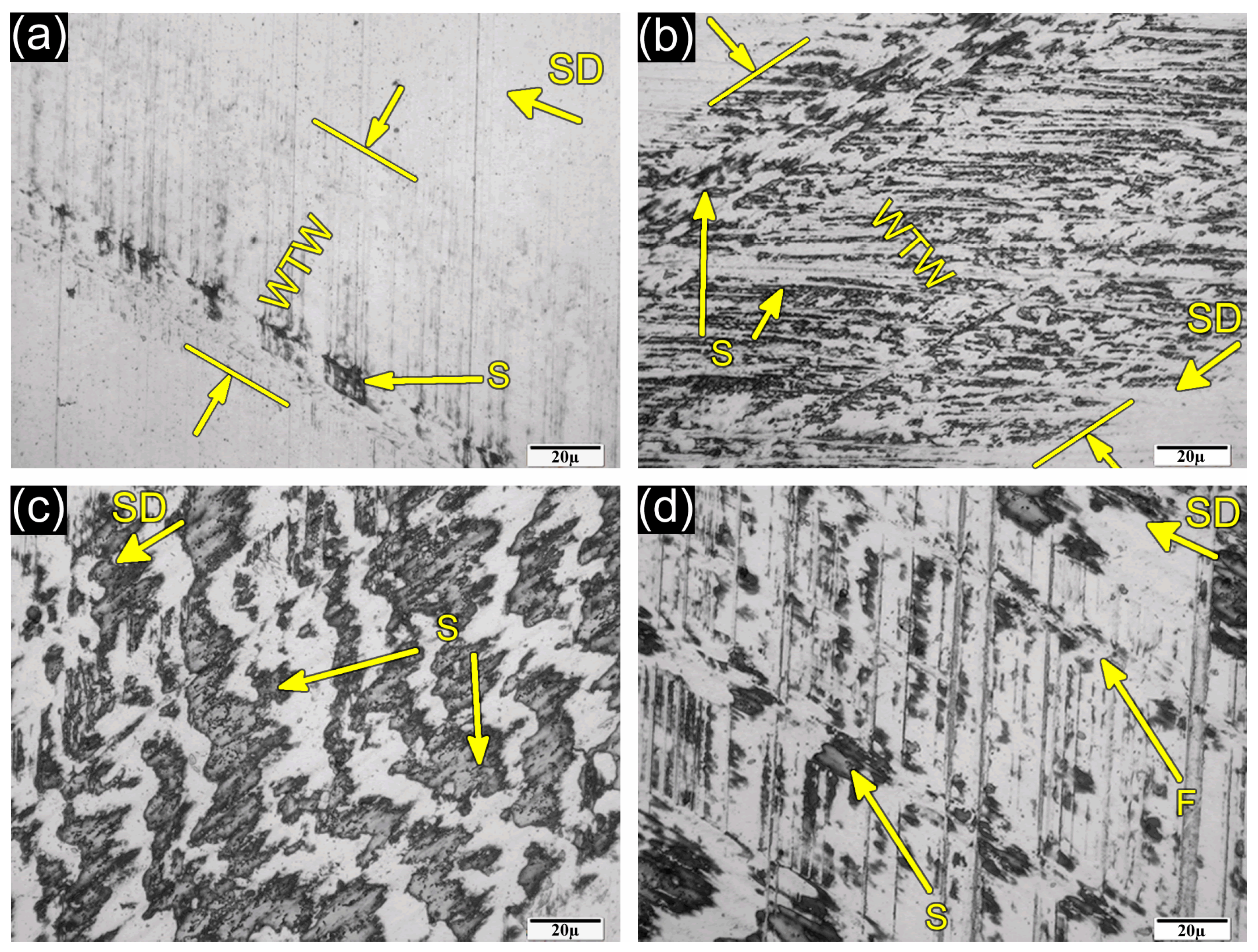 Coatings 13 01314 g005 Coatings 13 01314 g005