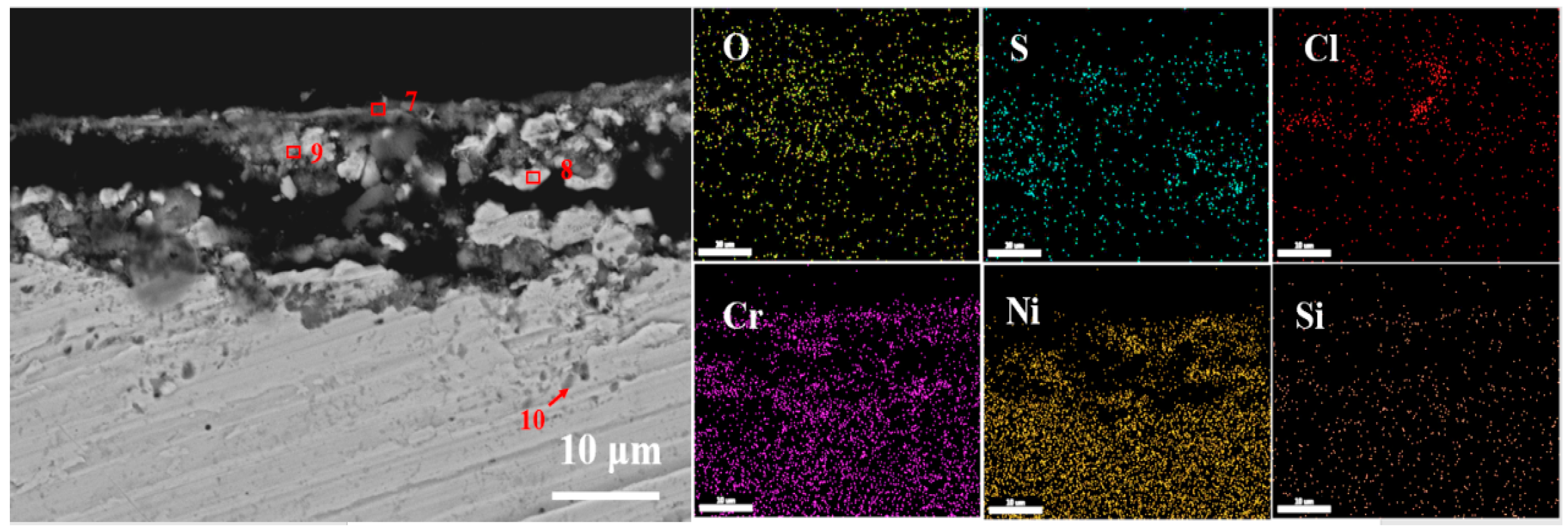 Coatings 13 01320 g008