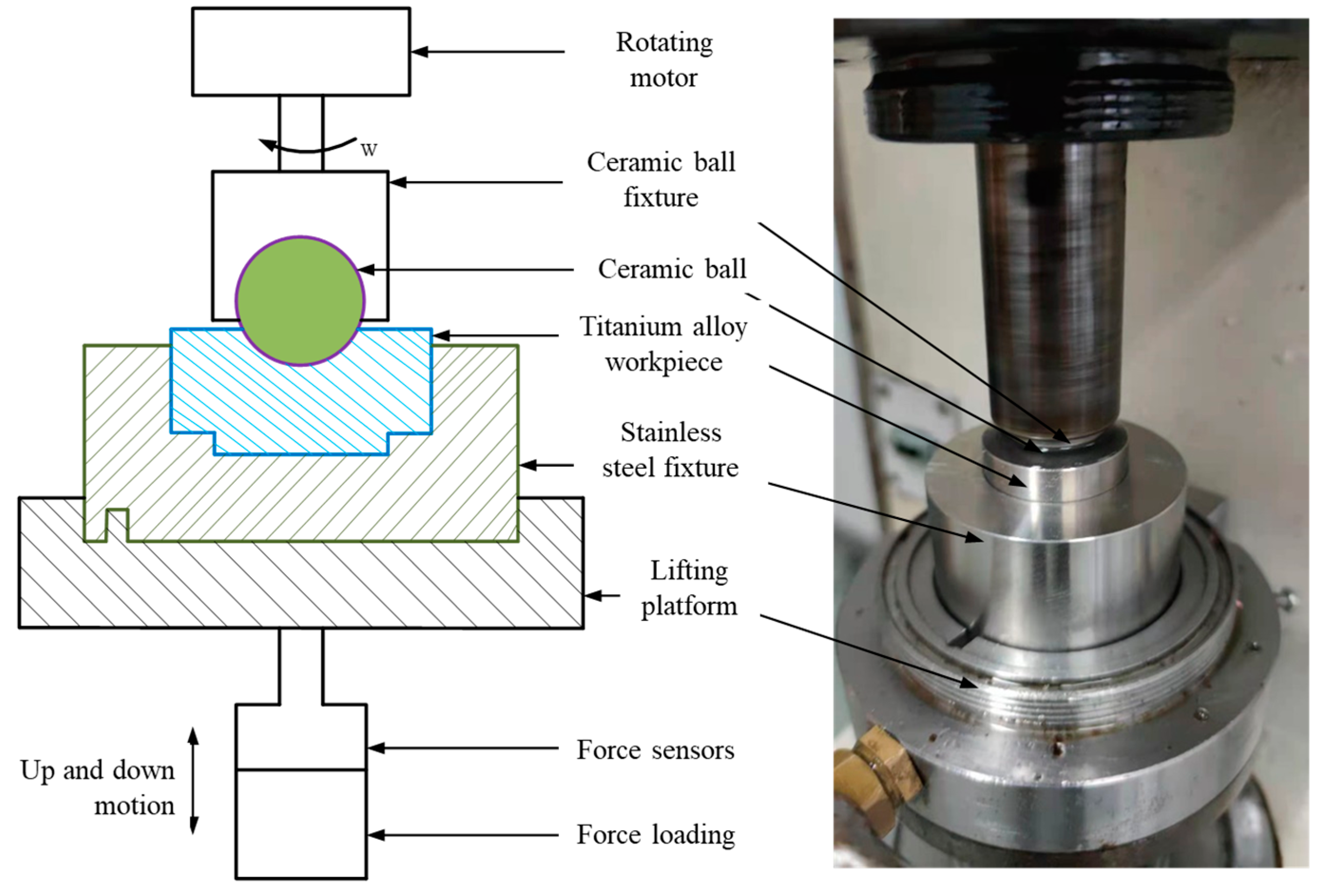 Coatings 13 01321 g014