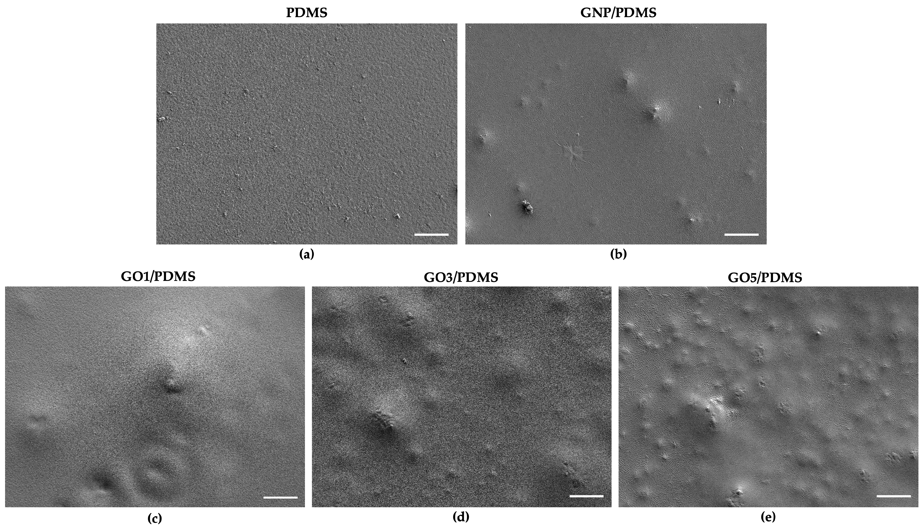 Coatings 13 01324 g001 Coatings 13 01324 g001