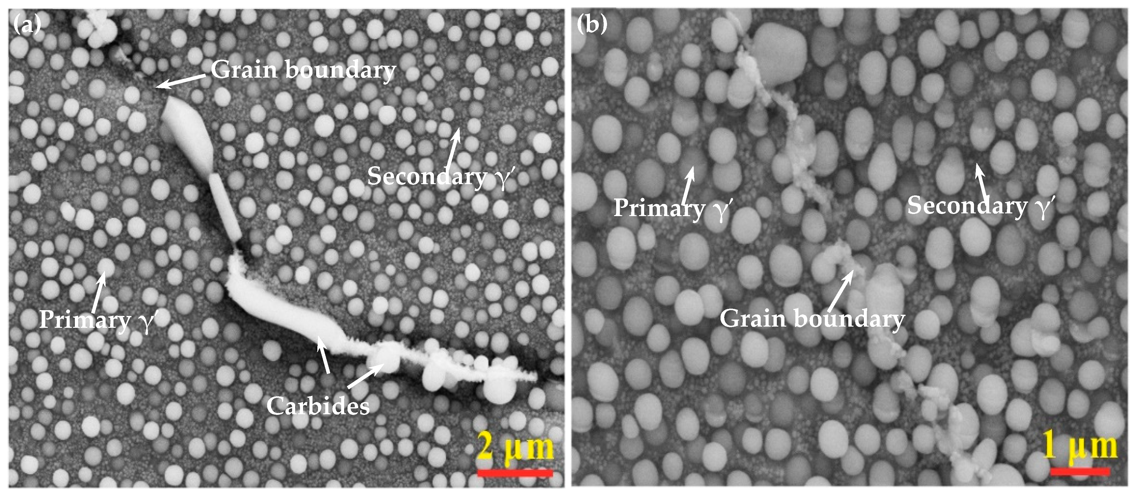Coatings 13 01325 g001 Coatings 13 01325 g001