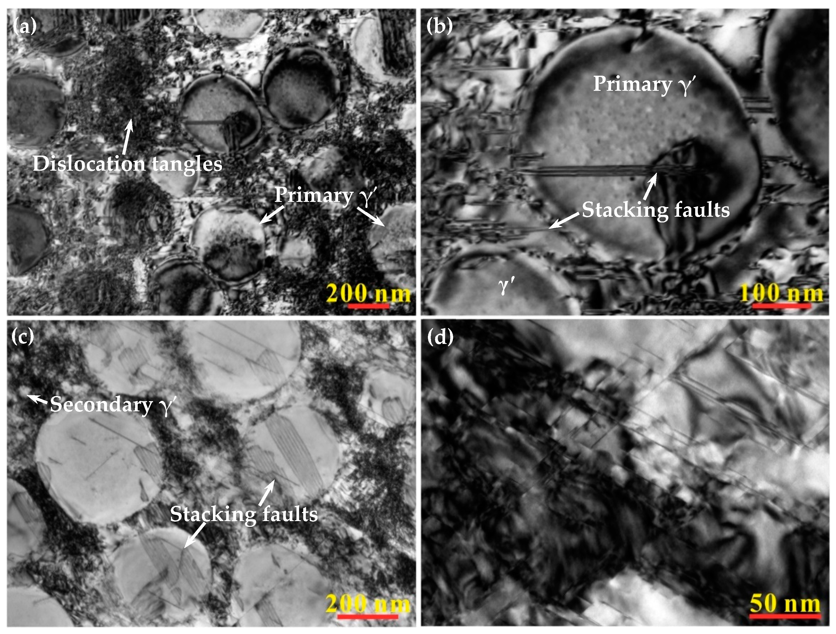 Coatings 13 01325 g002 Coatings 13 01325 g002