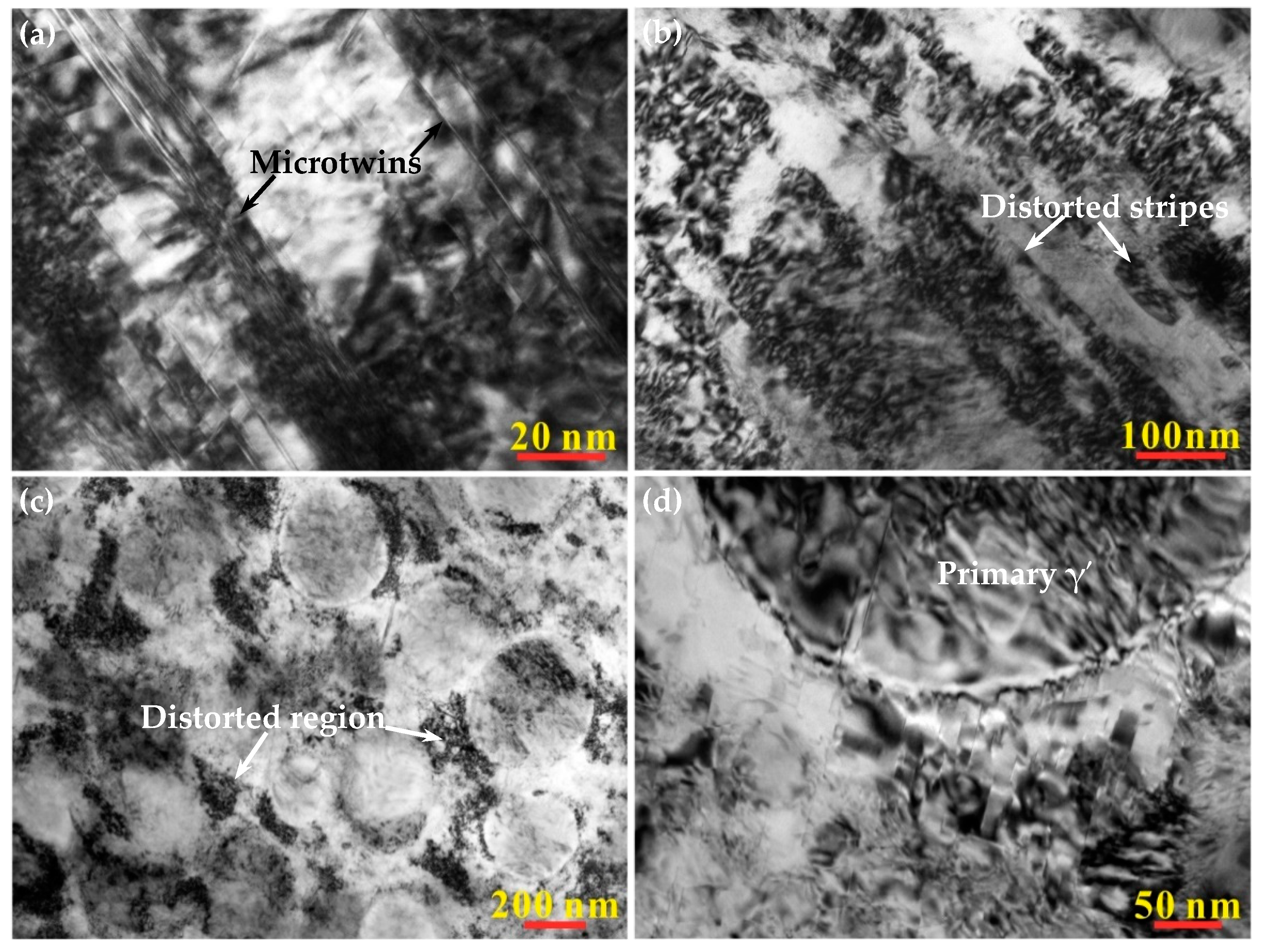 Coatings 13 01325 g003 Coatings 13 01325 g003