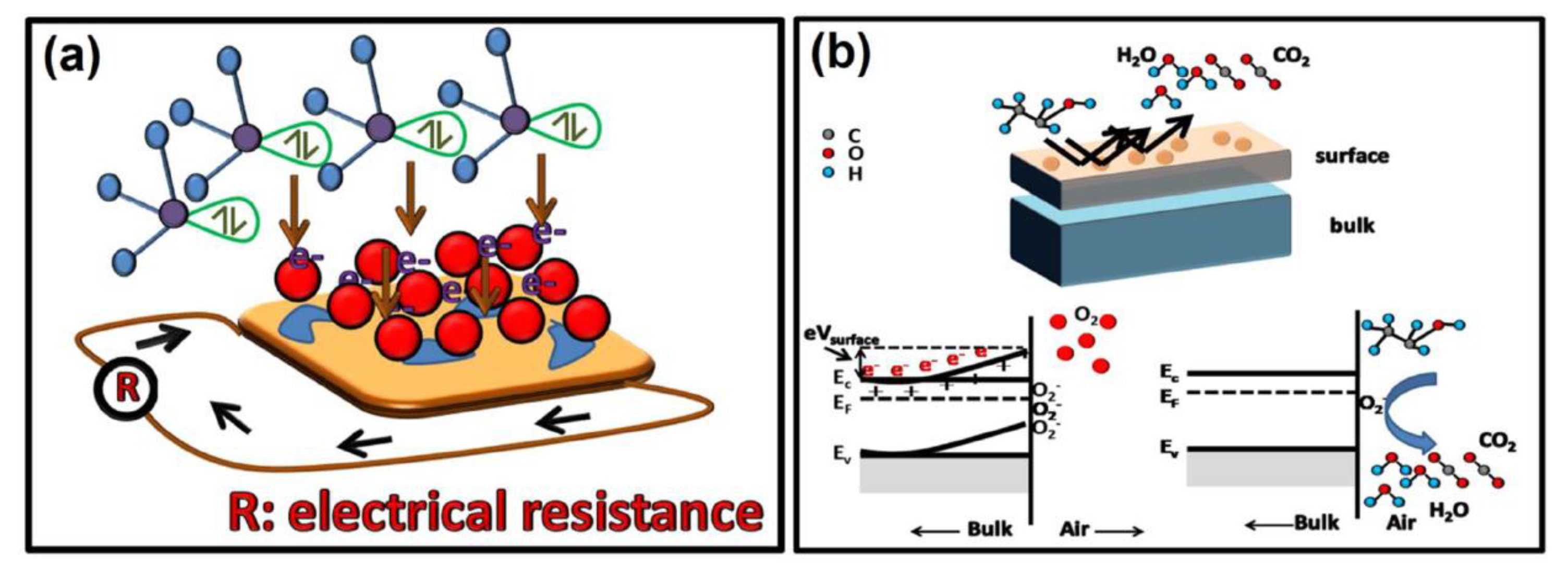 Coatings 13 01326 g005 Coatings 13 01326 g005