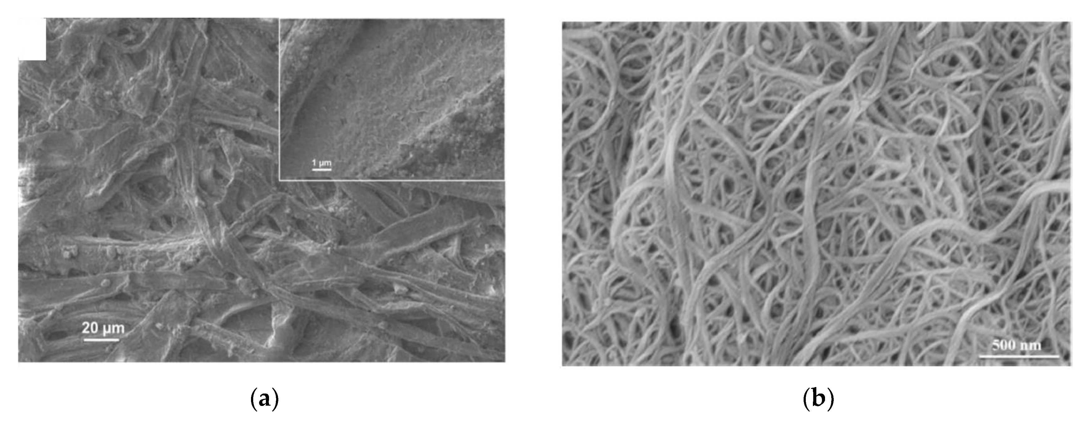 Coatings 13 01326 g007a Coatings 13 01326 g007a