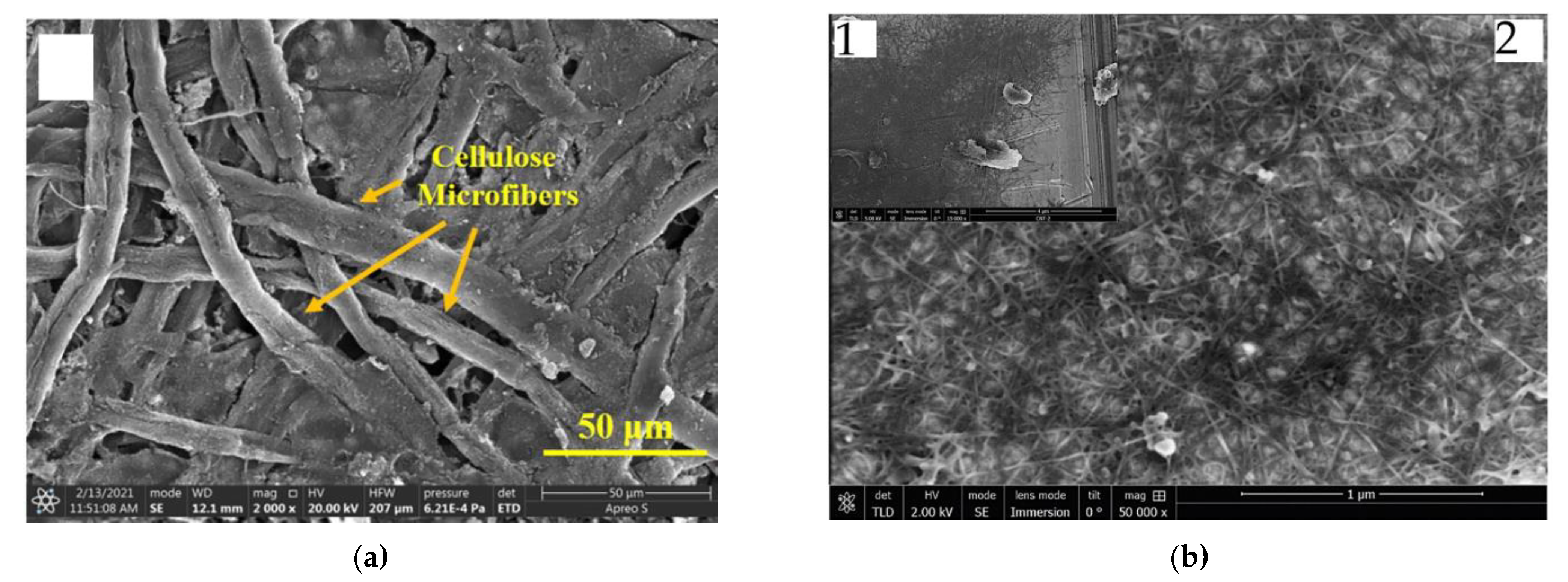 Coatings 13 01326 g008 Coatings 13 01326 g008